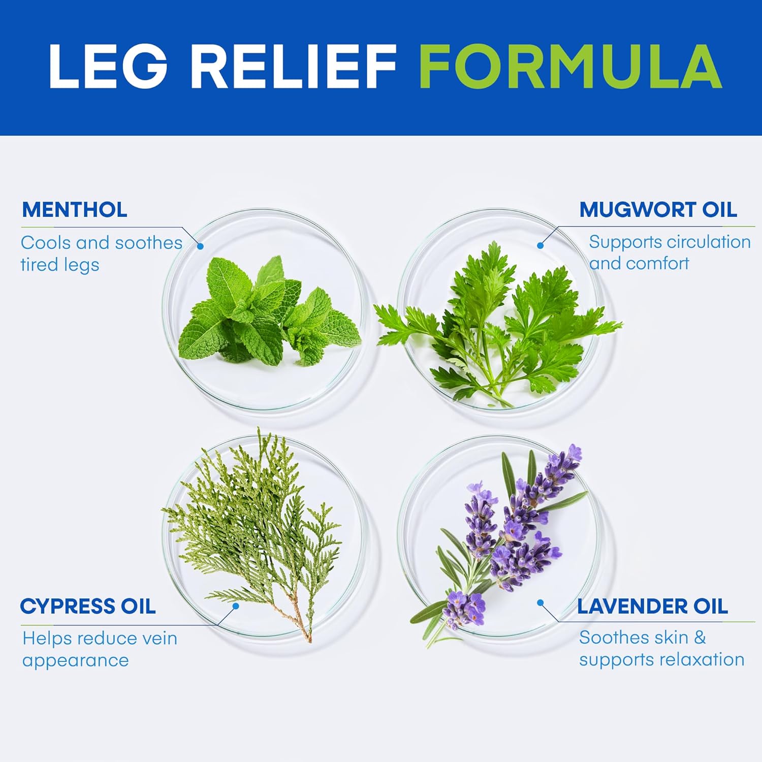 Varicose & Spider Veins Cream – Natural Vein Treatment Leg Cream to Improve Circulation, Relieve Tired Legs & Swelling – Helps Reduce Appearance of Veins – 3.4 Fl Oz (Pack of 1) - Image 4