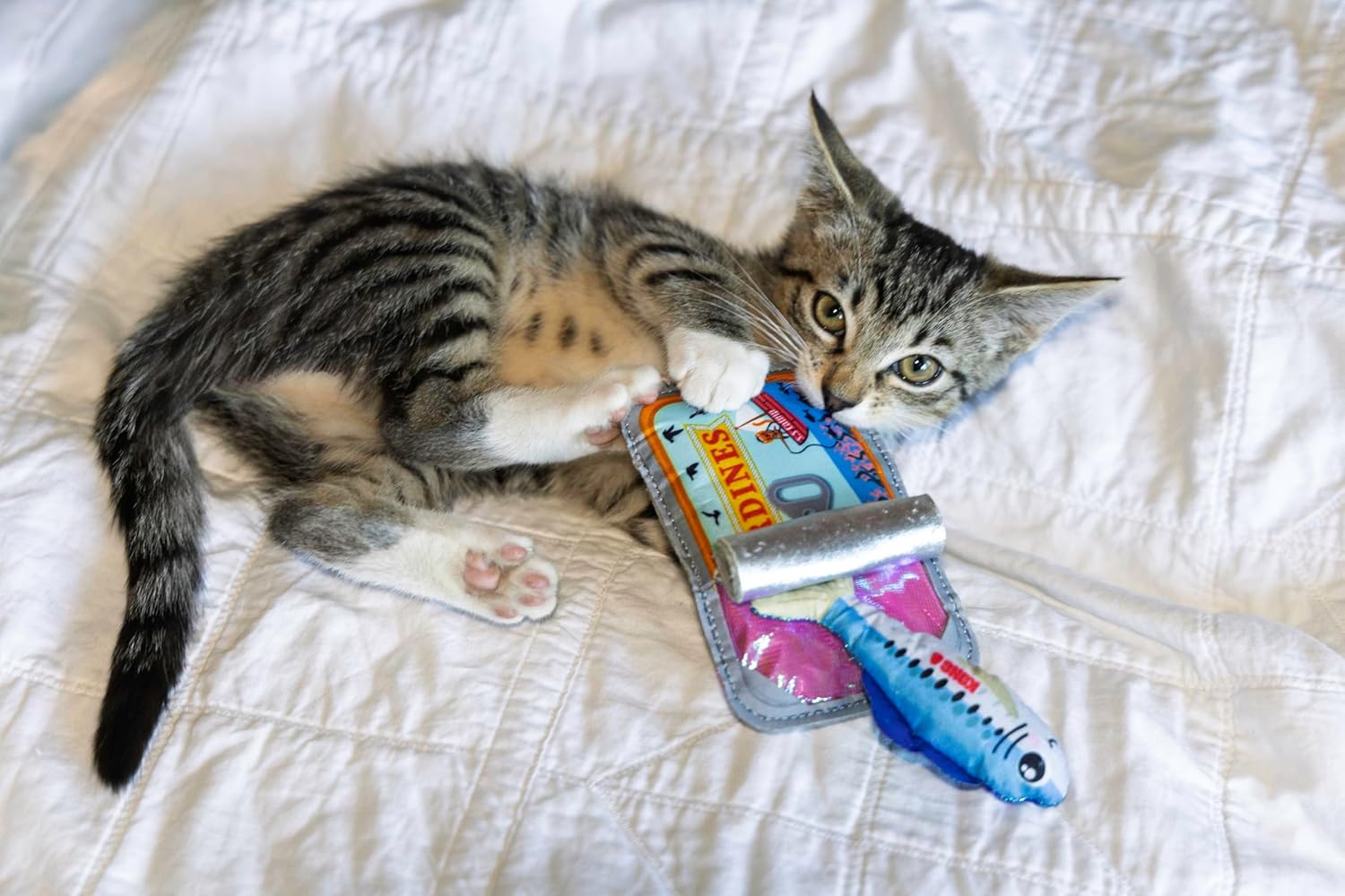 KONG Crackles Cat Toy – Crinkle Sounds, with Catnip, and Treat-Hiding Fun (Noodle Cup/Sardine Tin Combo)