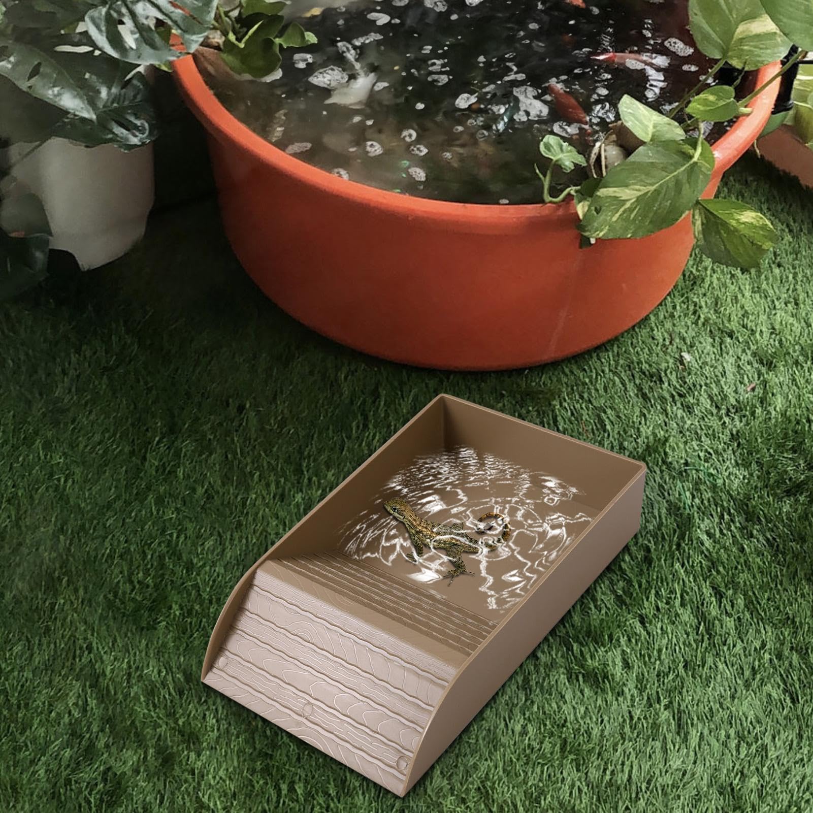 Vasca Per Tartarughe Con Design Antiscivolo - Ciotola Per Rettili E Anfibi - Foto 10