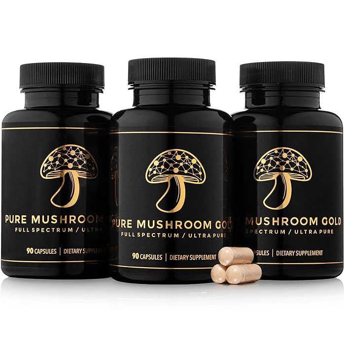 Buy Mushroom Supplement Blend by Pure Mushroom Gold Lions Mane