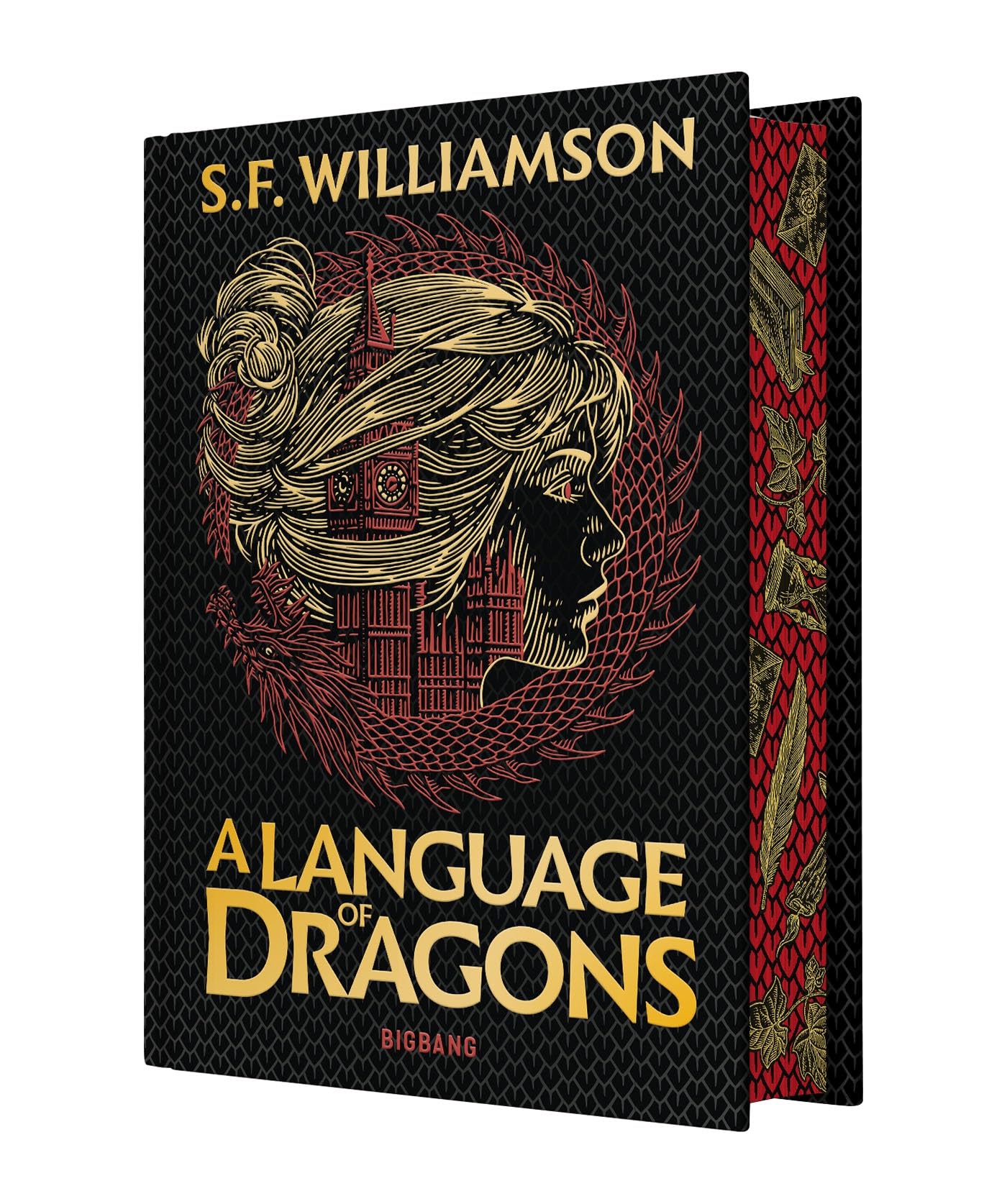 A Language of Dragons T1 (édition reliée): Tome 1