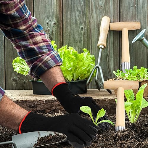 Miniatura 5 de 2 piezas de sembradora de semillas Dibber herramienta de jardín de acero inoxidable con mango de madera de 11.4 pulgadas Dibbler de jardinería con