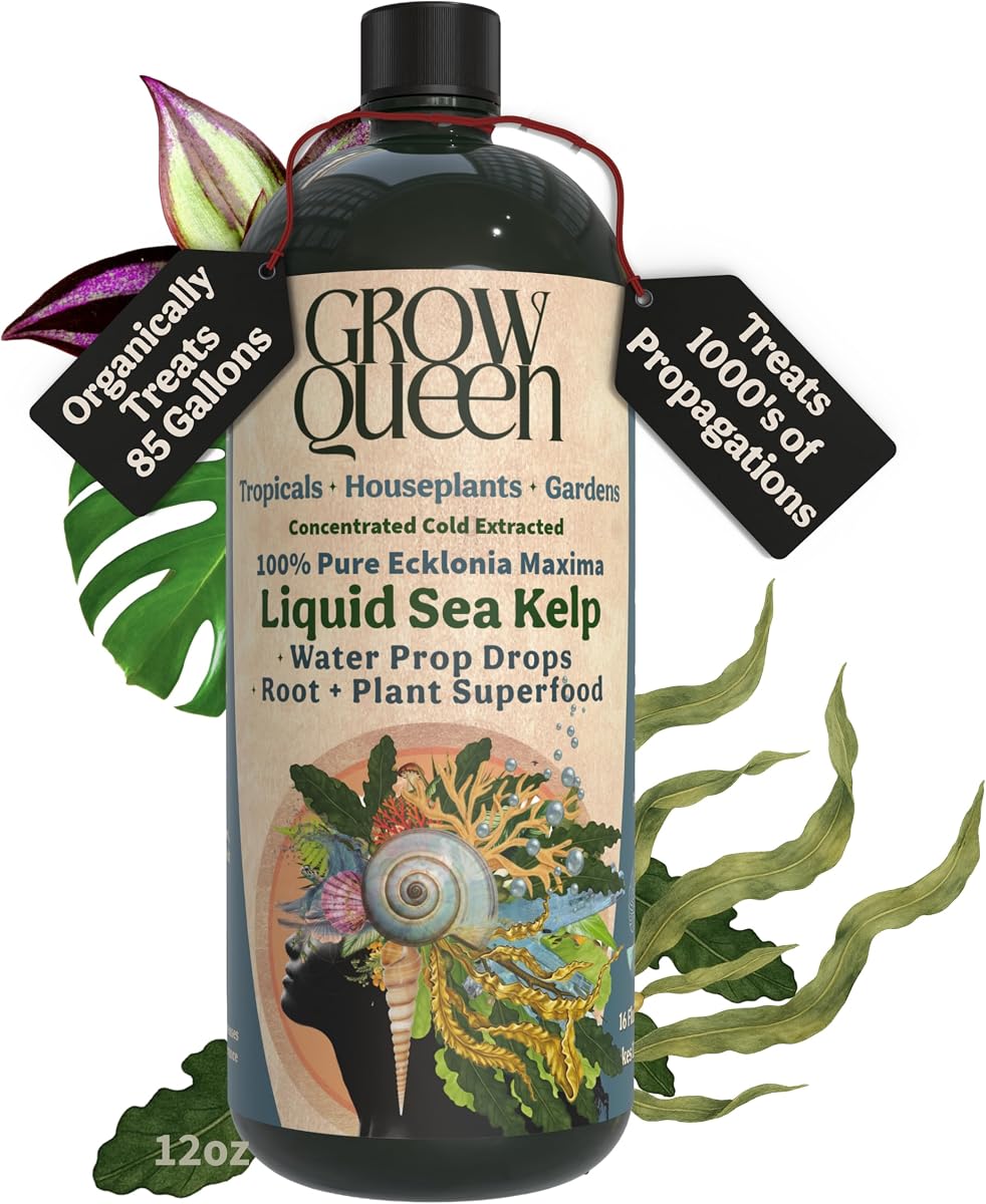 Gota de apoyo de extracto de algas marinas y algas líquidas orgánicas (Ecklonia Maxima) – Raíz + hormona de crecimiento vegetal y alimento para plantas de raíz para propagación de agua, hidroponía y suelo – 12 oz 85 galones