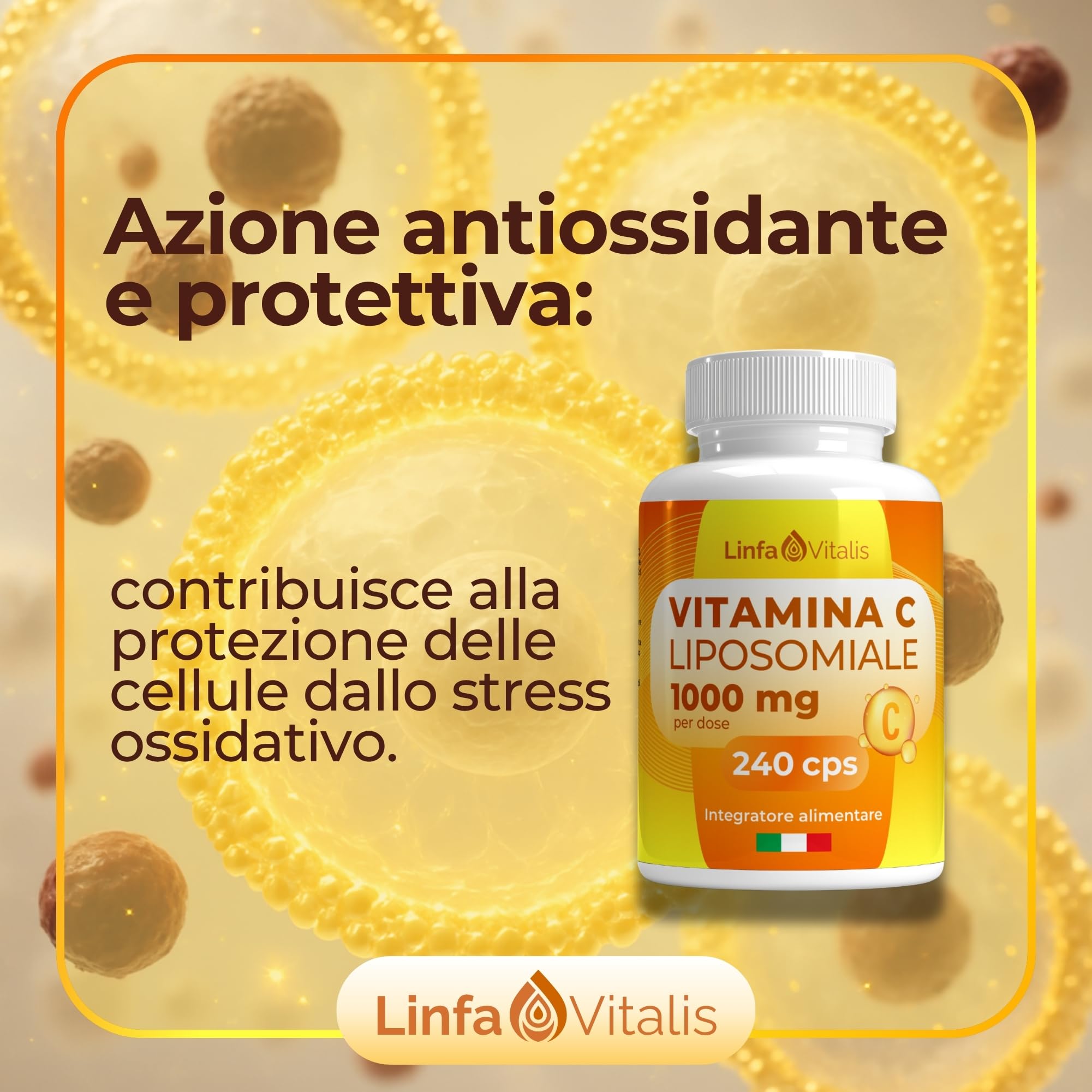 Vitamina C Liposomiale 1000mg Alto Dosaggio 240Cps Vegane (4 Mesi) - Contribuisce alla Riduzione della Stanchezza e Protezione dallo Stress Ossidativo