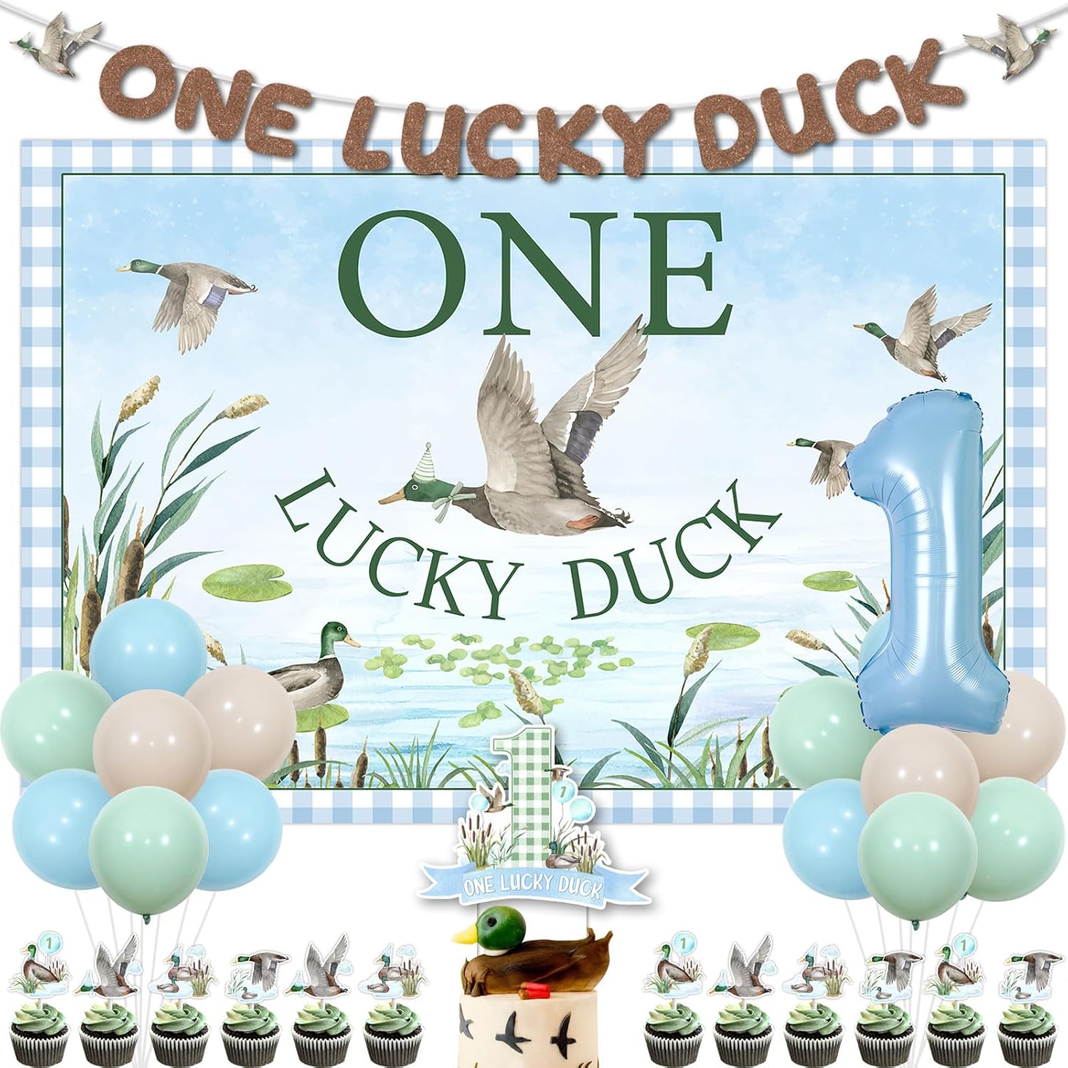 One Lucky Duck Birthday Decorations Duck First Birthday