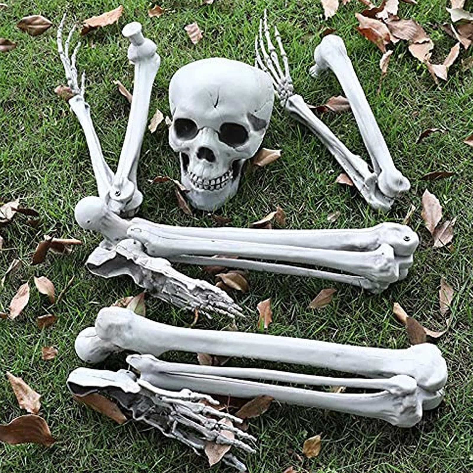 専用出品　ハロウィン骸骨 Amazon | [AiO JAPAN] ハロウィン 骸骨 ガイコツ 骨 等身大 置物