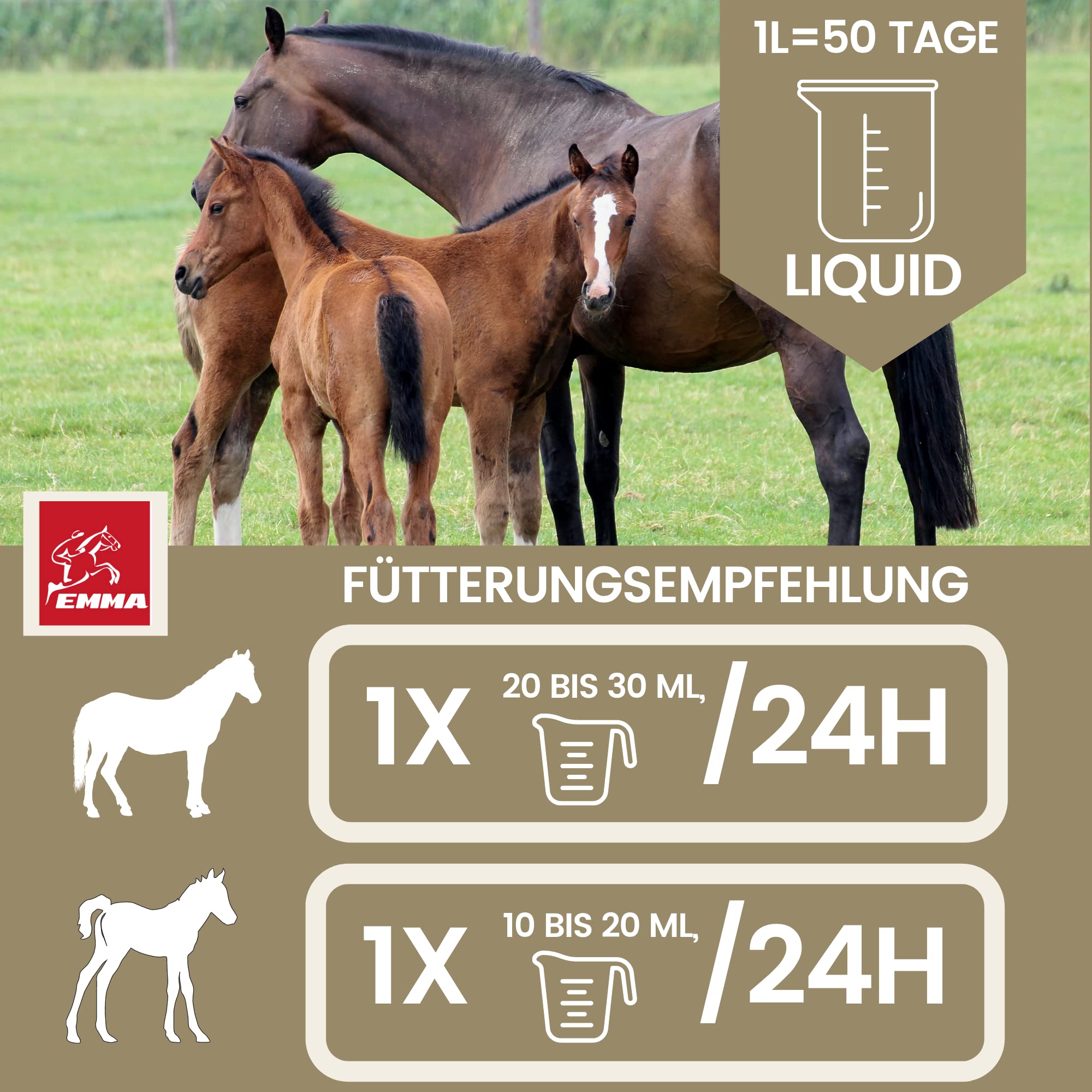 Vitamine b complexe cheval I Multivitamines pour chevaux - chevaux vitamines avec vitamine C K B1 B2 B6 B12 zinc cheval I B vitamines complexe système immunitaire Vit b jument poulain nourriture 1L