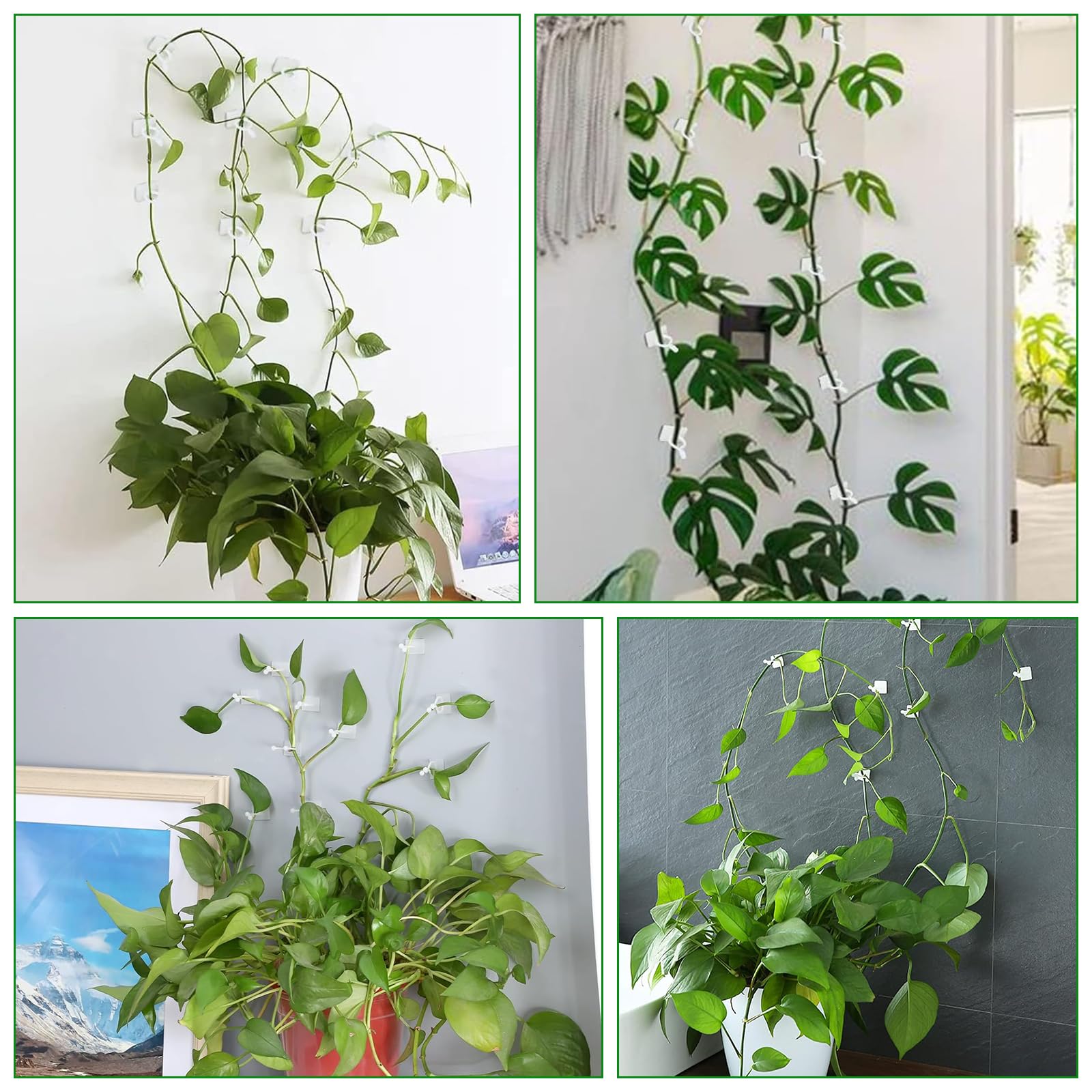 120 Pflanzenclips Set - Selbstklebende Kletterpflanzen Halter In Weiß & Grün, 3 Größen