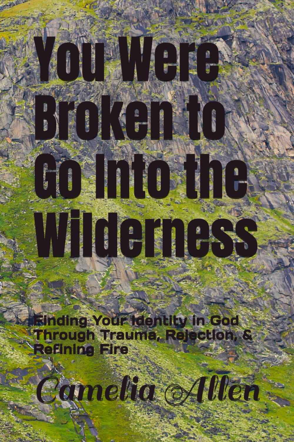 You Were Broken to Go Into the Wilderness: Finding Your Identity in God Through Trauma, Rejection, & Refining Fire