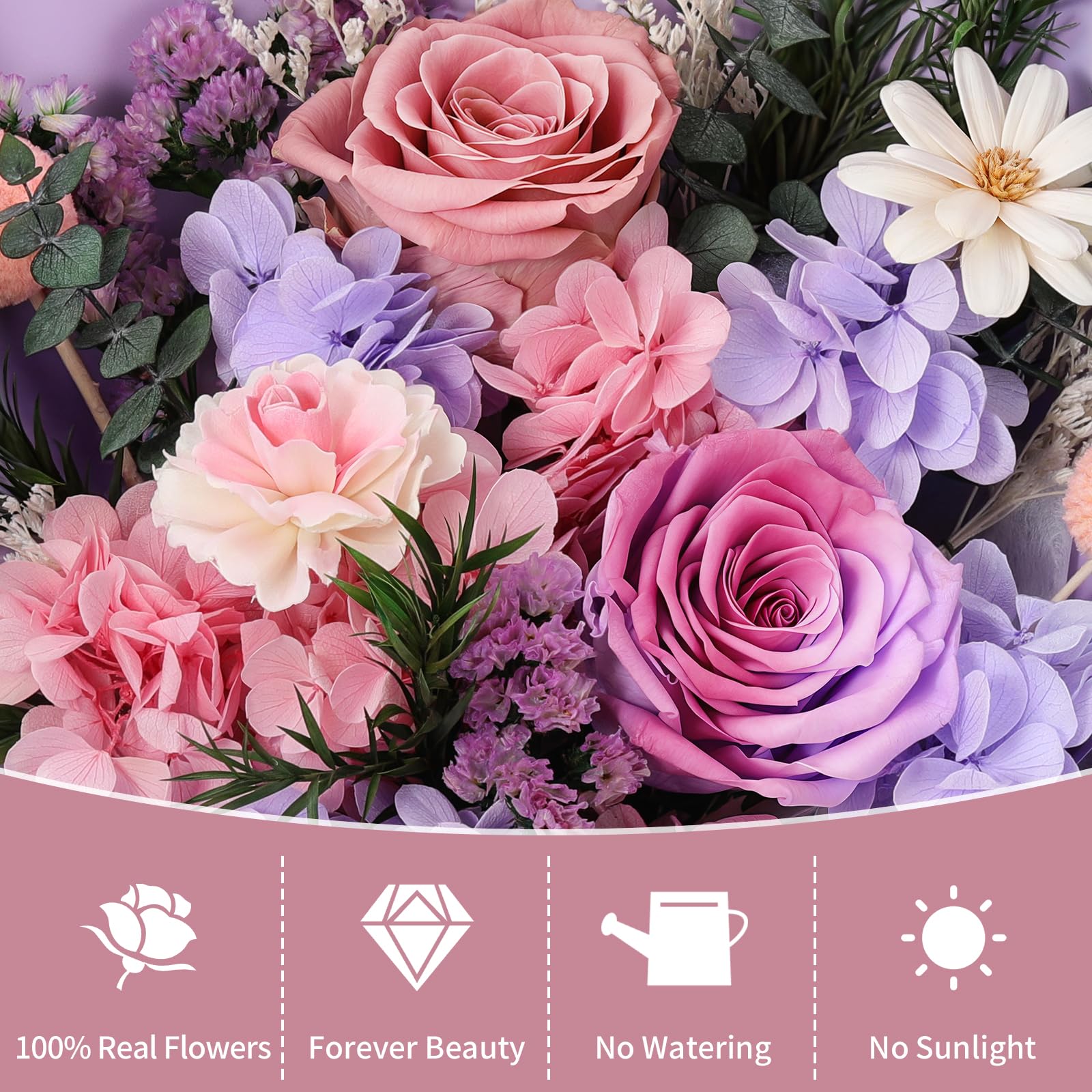 Lewondr Ramo de Flores Conservadas con Jarrón – 2 Rosas y Flores Reales, Ramo Rosas Eternas de Larga Duración, Regalo Eterno para Madre, Esposa, San Valentín Aniversario o Cumpleaños, Morado