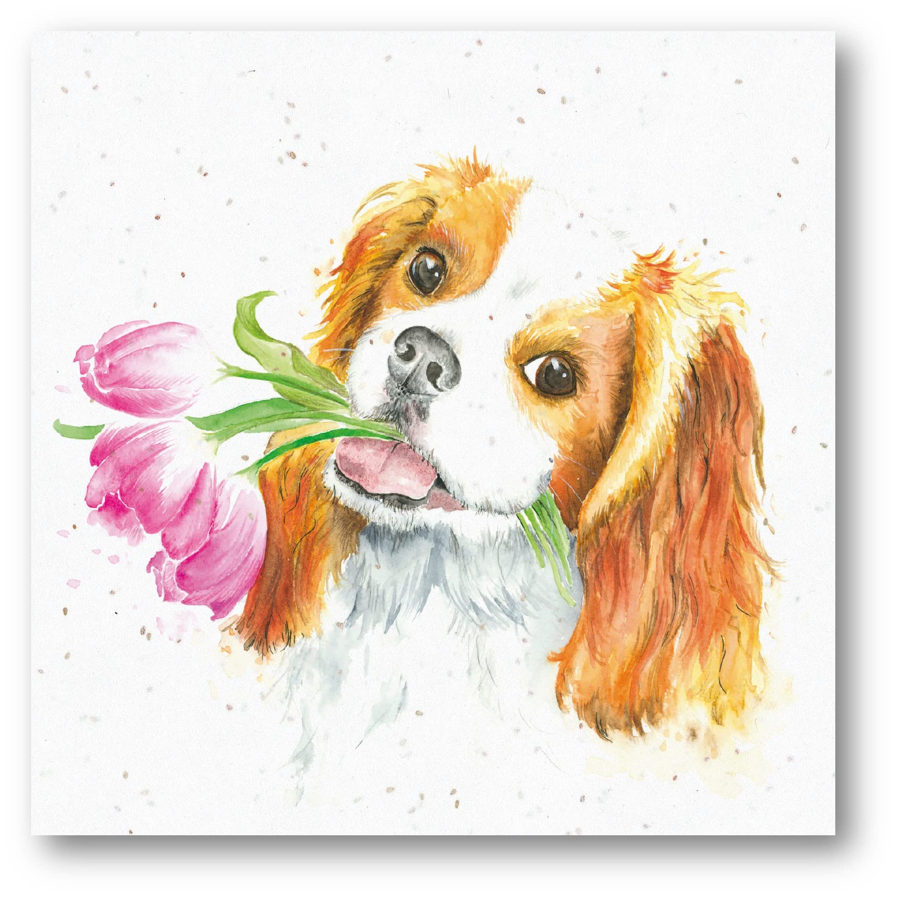 Biglietto Auguri Con Cane E Golf – Vuoto Per Compleanno Uomo