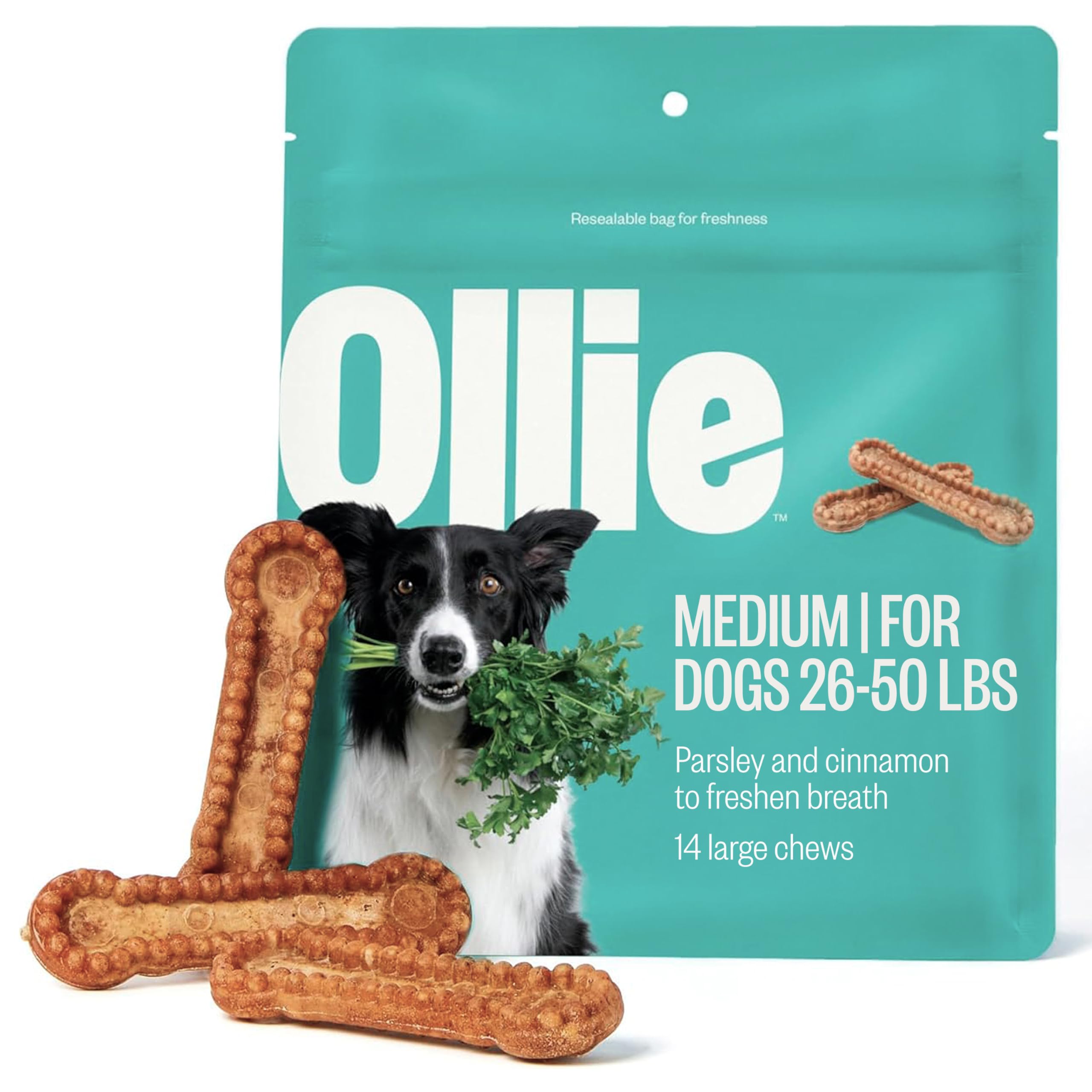 Ollie Dental Chews for Medium Dogs