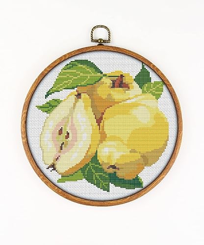 Quince CS1023 - Counted Cross Stitch KIT#2. Set of Threads, Needles, AIDA Fabric, Needle Threader, Embroidery Clippers and Printed Color Pattern