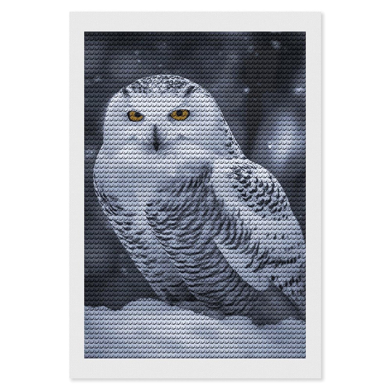 Arctic Owl Diamond Painting Kits for Adults, DIY 5D Diamond Painting Kits for Beginners, Round Full Drill Diamond Dots Paintings, Diamonds Pictures Gem Art for Crafts Home Decor 8"x12"