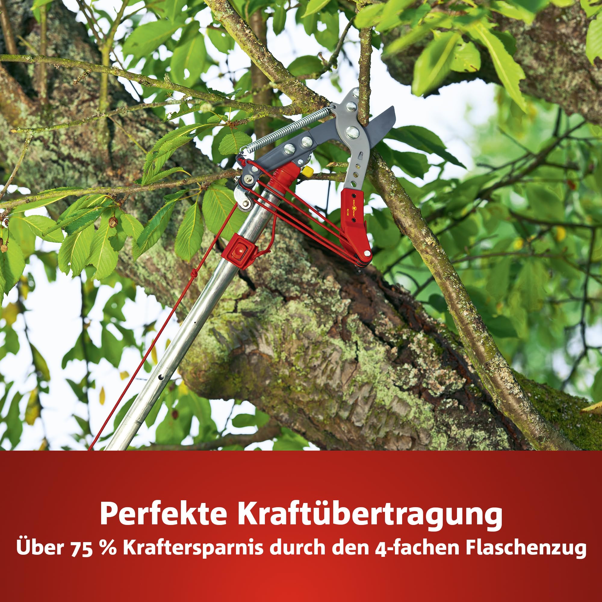 WOLF-Garten multi-star Amboss Profi Baumschere RC-VM 40mm Ø