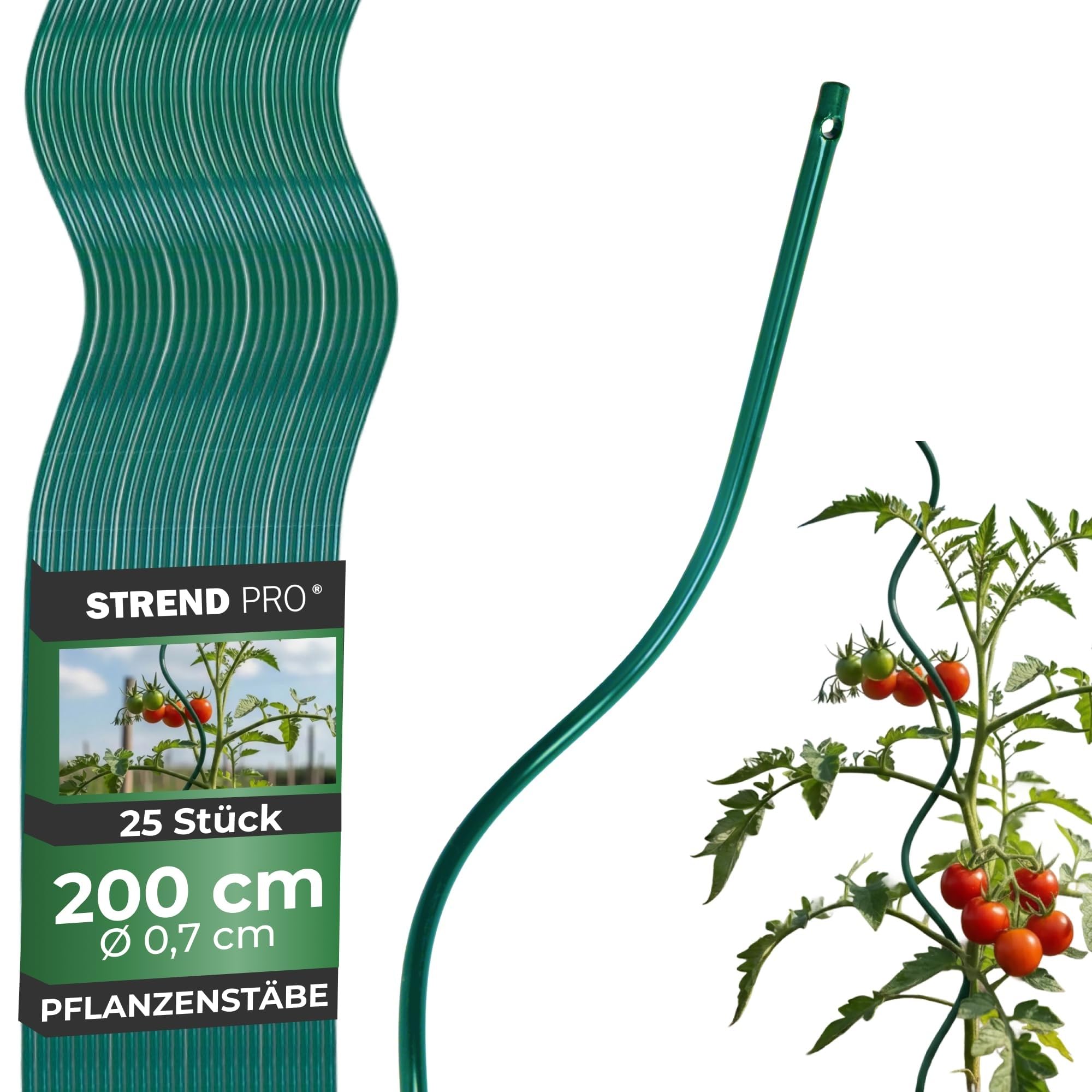 STREND PRO Tutori a Spirale per Pomodori 200 cm, Set da 25 | Ø 7 mm, Acciaio Zincato | Sostegni per Rampicanti