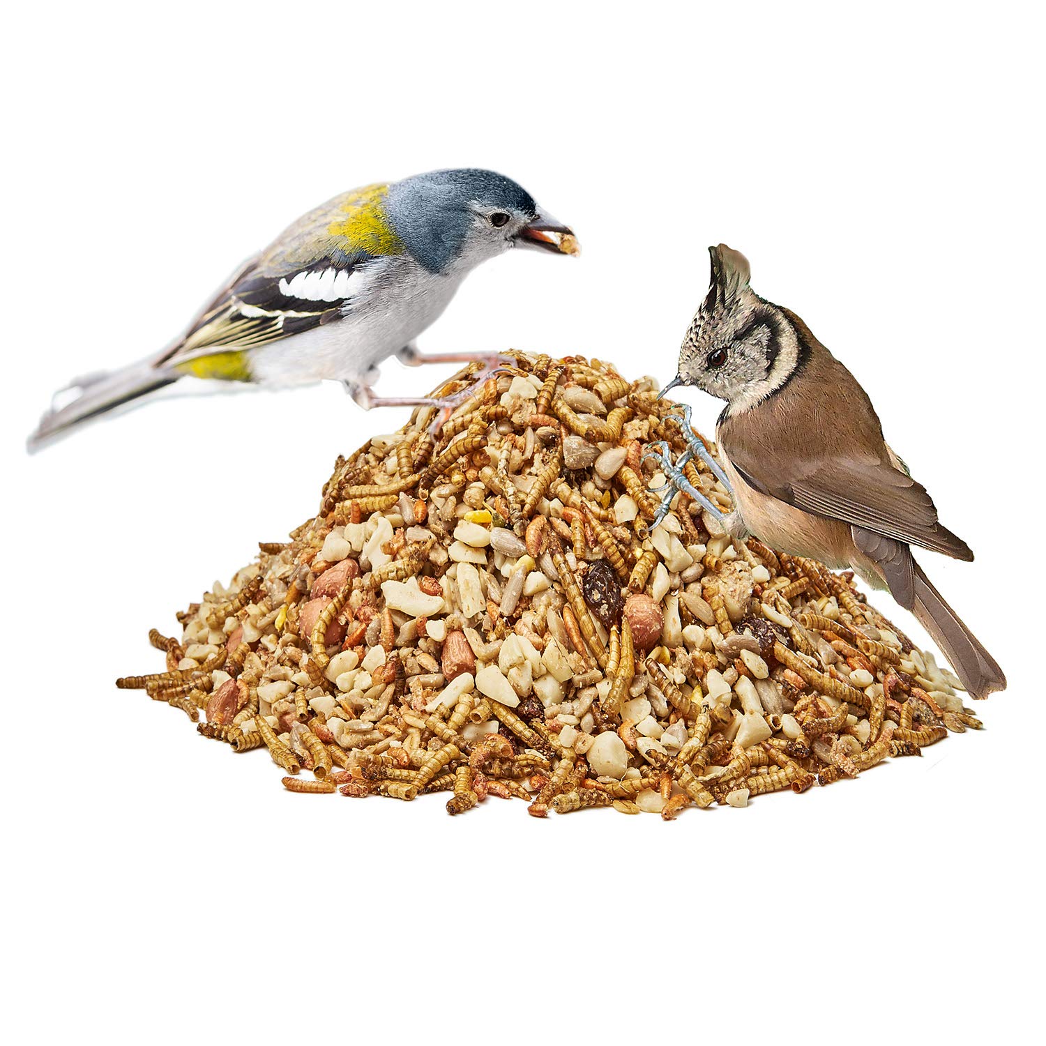 Paul's Mühle Premium Ganzjahresfutter für Wildvögel mit Extra Hohem Fettanteil, Vogelfutter zur Ganzjahresfütterung, Senkrechtstarter, 10 kg