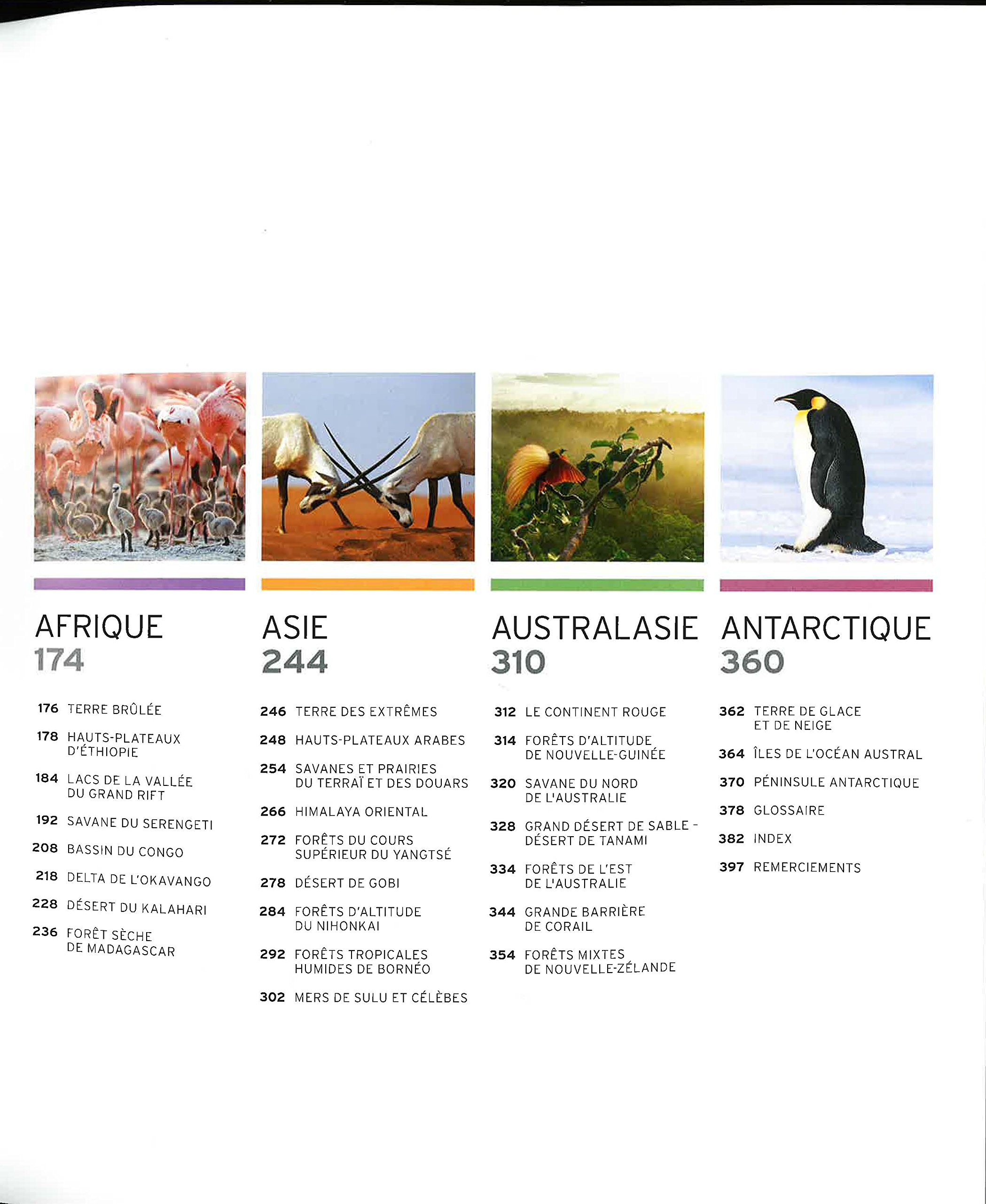 Vie sauvage: Encyclopédie visuelle des animaux, continent par continent
