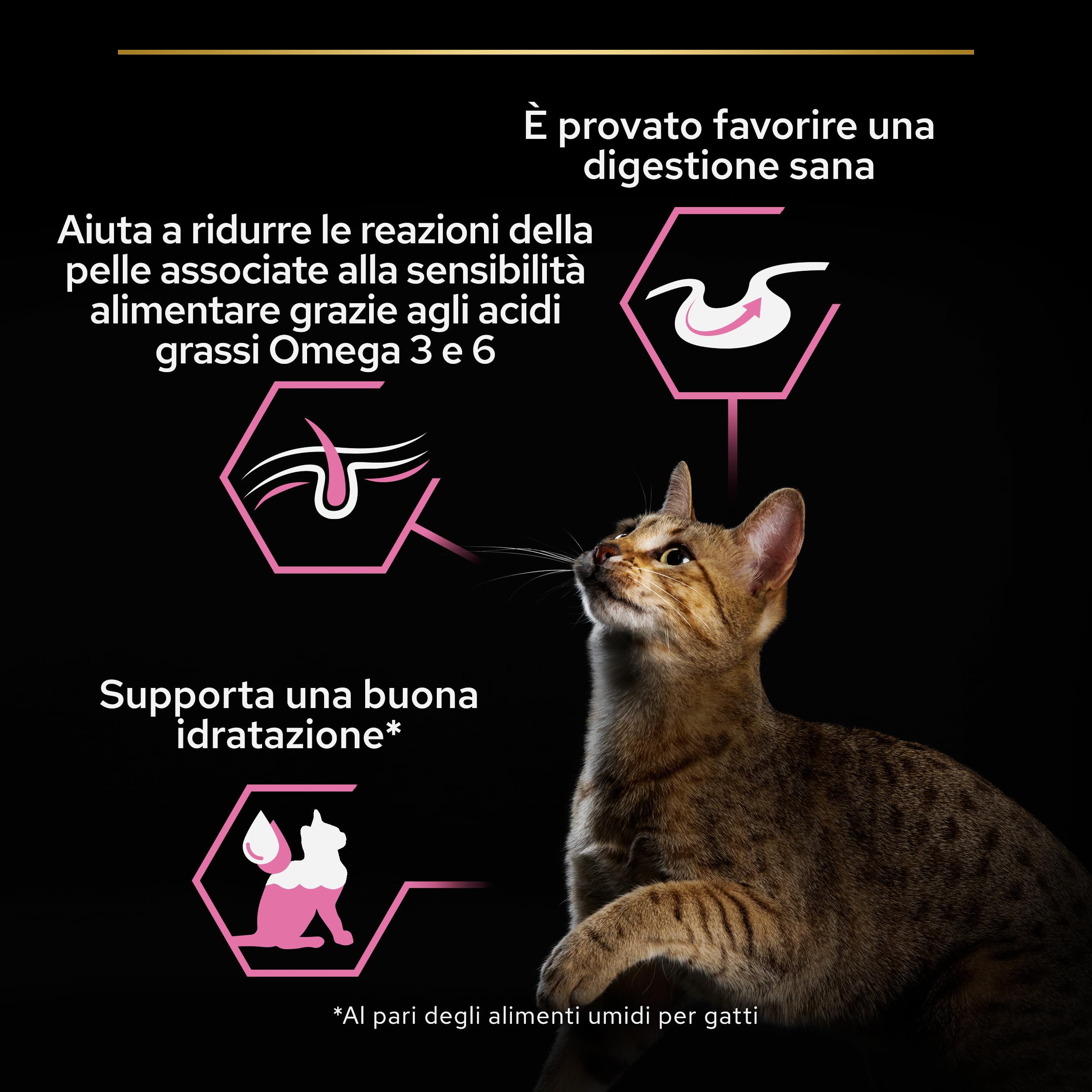 Purina Pro Plan Delicate Digestion Cibo Umido per Gatti Adulti Pezzettini in Salsa Tacchino, 40 Bustine da 85g