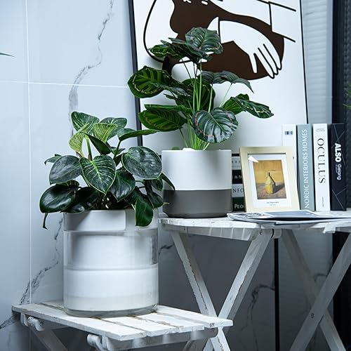 Miniatura 6 de Phoenix Vine Maceta de riego automático de 8 pulgadas, maceta de arcilla de terracota blanca con depósito de vidrio para plantas de interior,