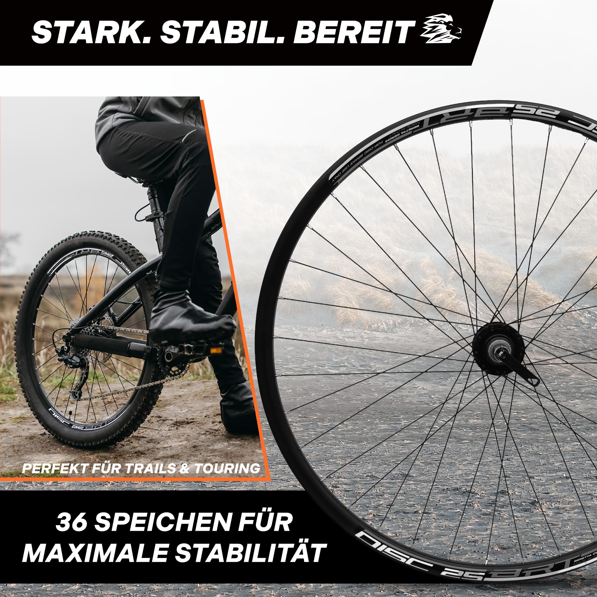 MTB Hinterrad 29 Zoll Fahrrad Laufrad - Scheibenbremse 6-Loch - QR 9/10×135 - Schraubkranz 7/8-fach – Alu Felge & Nabe - 36 Speichen - Schwarz - LOEVELOSI