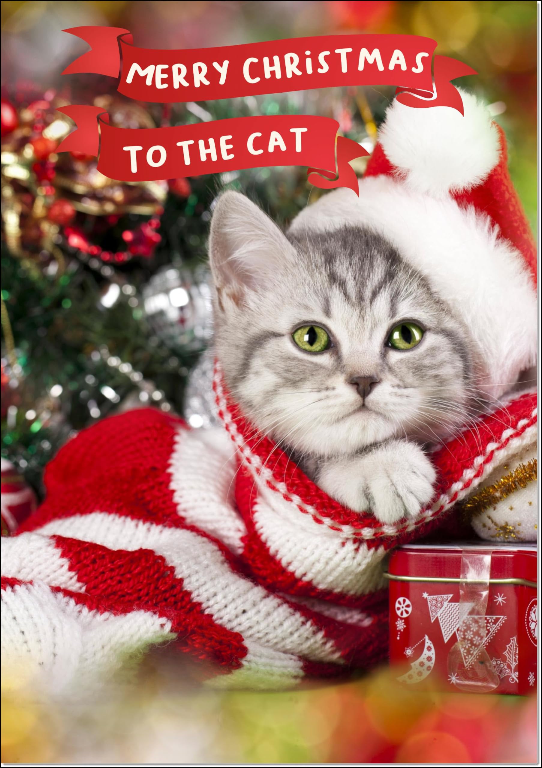 doodlecards To The Cat Christmas Card Cute Santa Paws Kitten Cat Pet Christmas Hat Large A4 Size Christmas Card for To The Cat with Plain Envelope