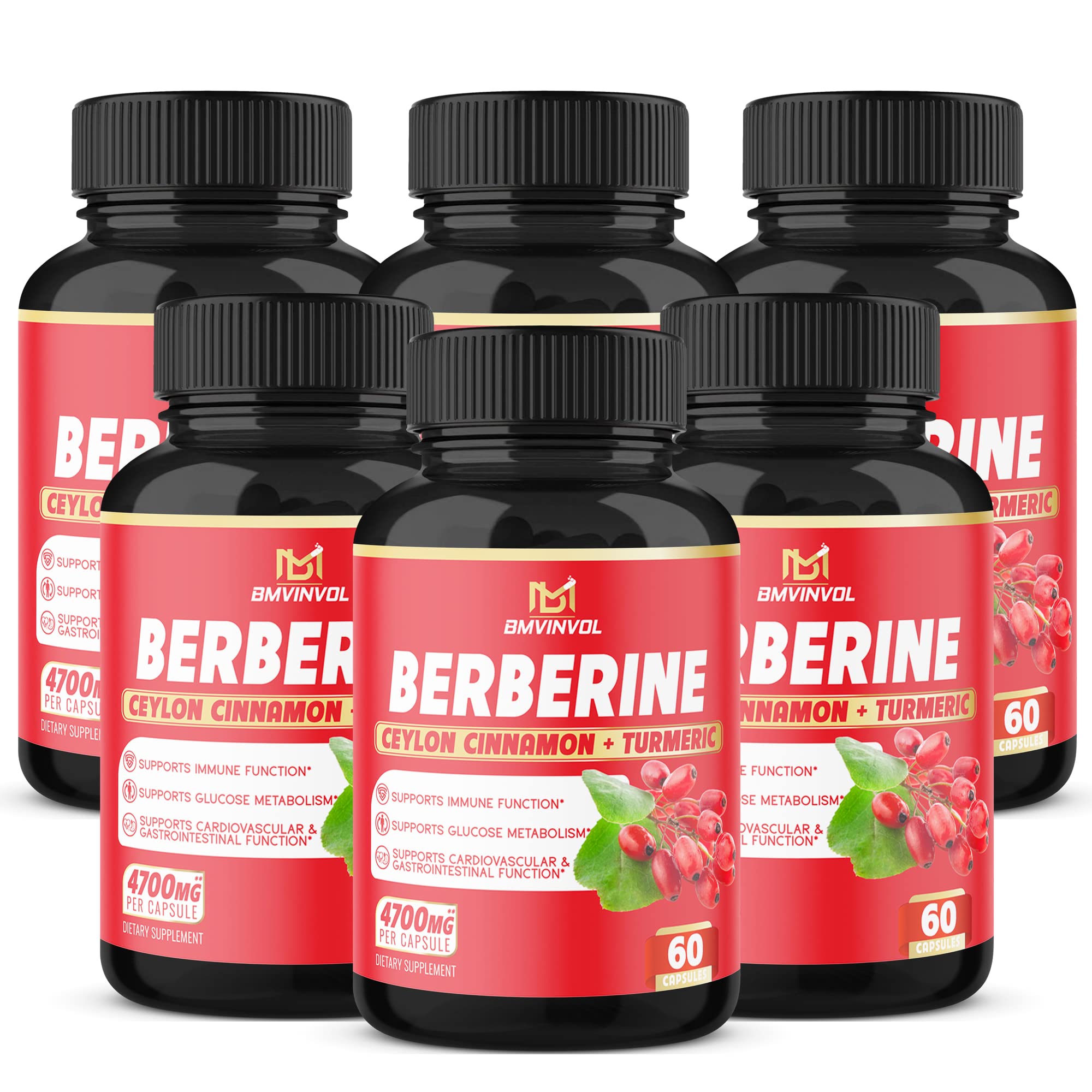 6 Packs Berberine Supplement 4700mg - 12 Months Supply - High Potency with Ceylon Cinnamon, Turmeric