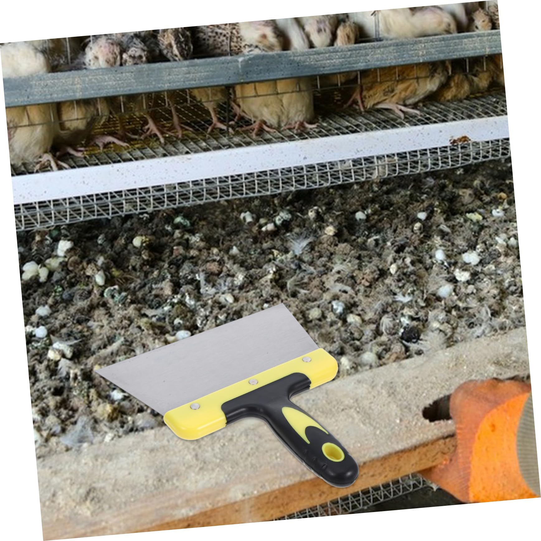 Toyvian 2pezzi Raschietto per Droppings di Uccelli Acciaio Inossidabile Strumento di Pulizia per Escrementi di Piccioni per Manutenzione Nidi e Superfici Pulite