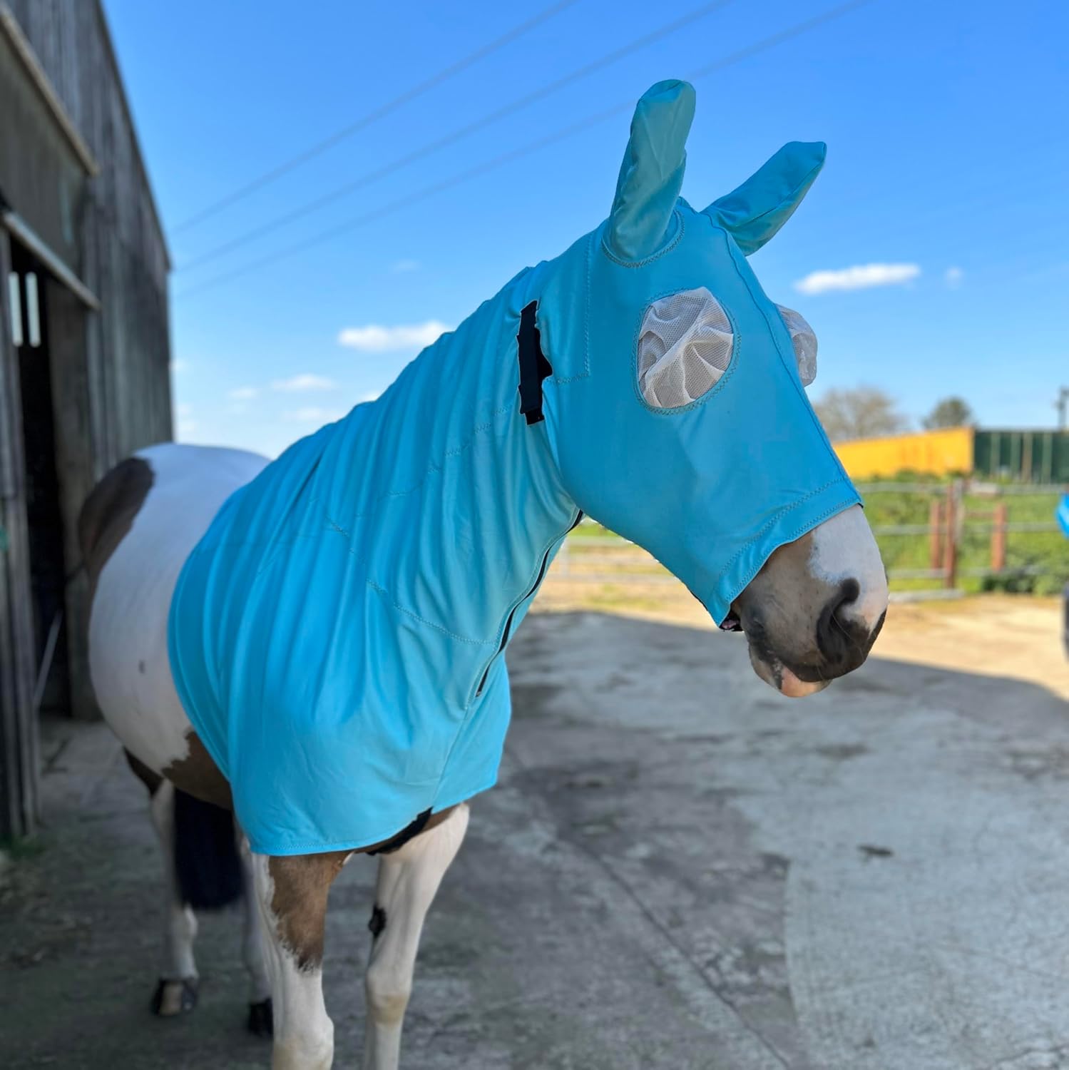 Fly Hood for Horse and Pony | Ultimate Protection from Sweet Itch, UV Rays, Flies and Insects | Snuggy Hoods | Zip Version | 3 Colors, 8 Sizes