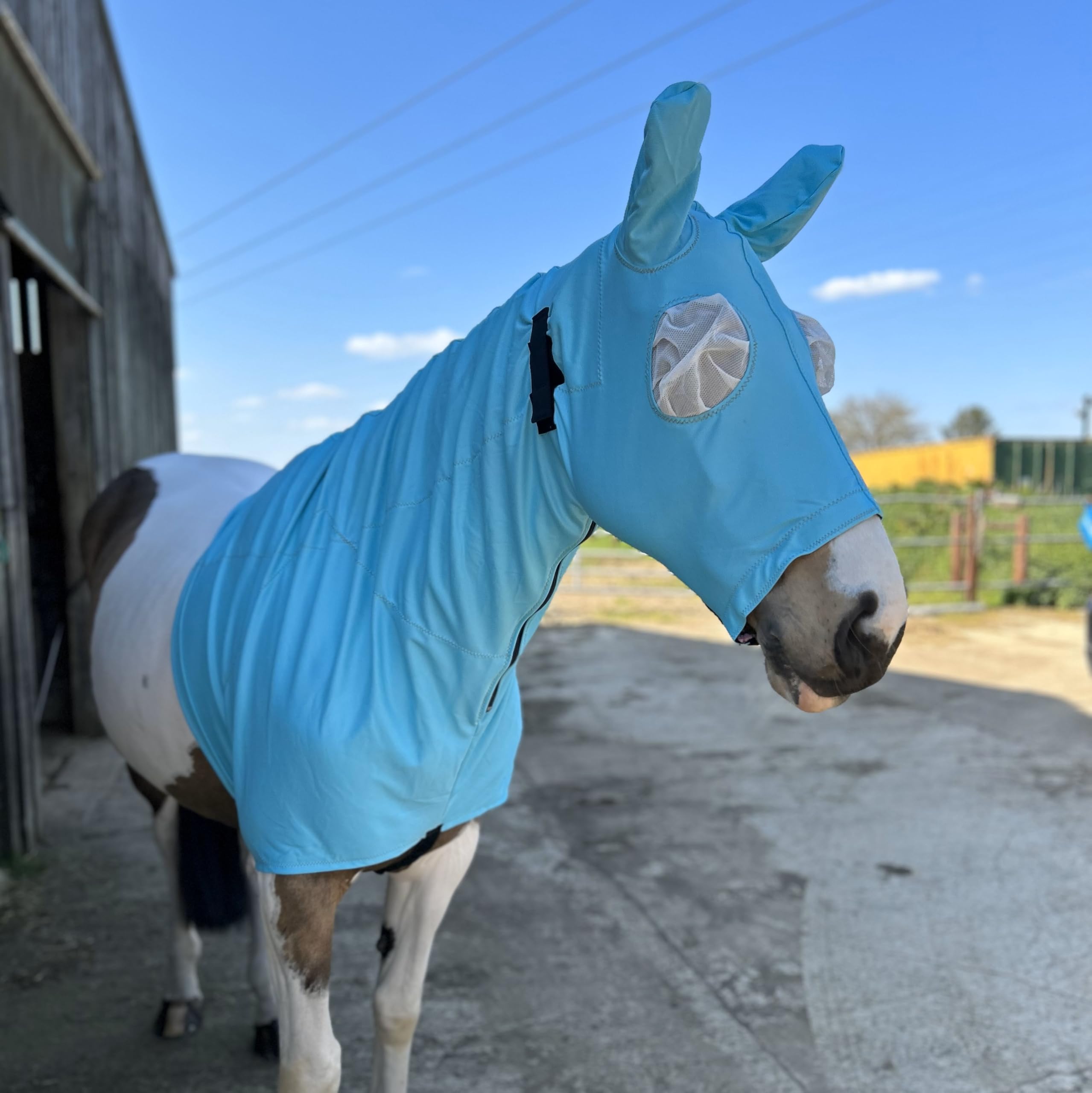 Snuggy Hoods Sweet Itch Hood - Protection Contre Les Insectes