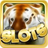 Tiger Slots Online - The Best New & Fun Video Slots Game For 2015!