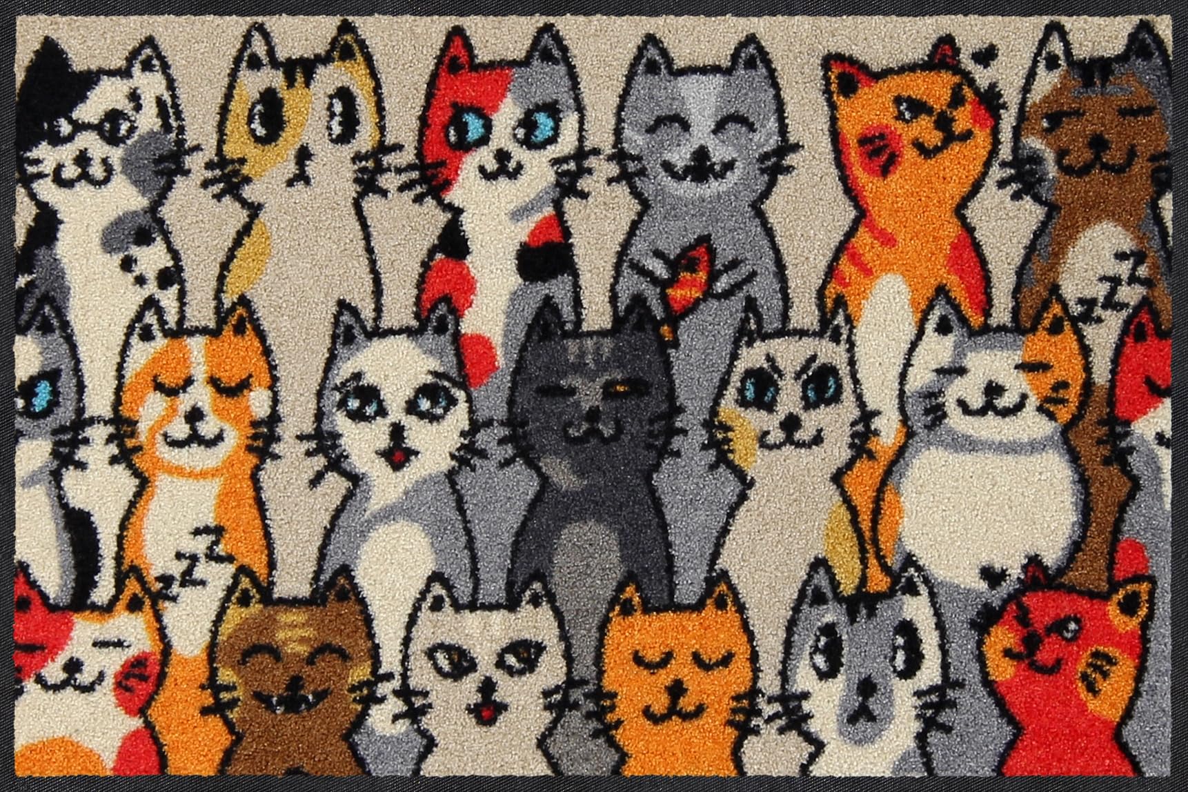 Salonloewe Minimatte Kitty People I Schmutzfangmatte & Fußabtreter für Innen 50 x 75 cm