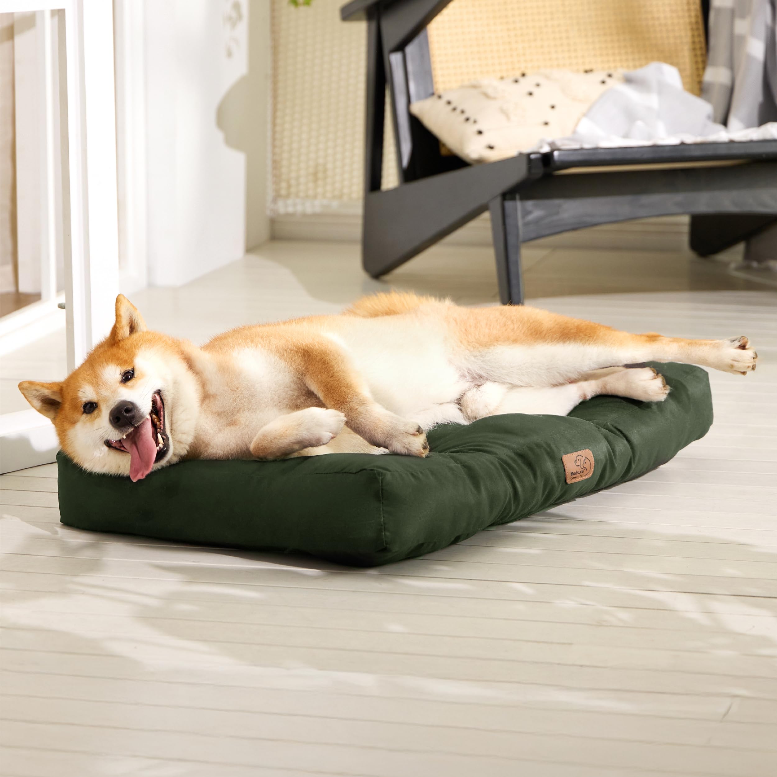 BEDSURE Poduszka dla małych psów nadaje się do prania – 76 x 50 cm materac dla psa, wodoszczelny, rozmiar M, dla małych, średnich psów, na zewnątrz, wyściełana mata dla psa, zielona, wysokość 10 cm