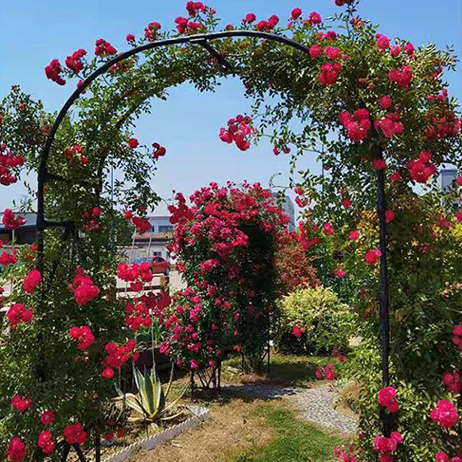 Outdoor Garden Arch,Heavy Duty Rose Arch,Sturdy Climbing Plants Arches,Metal Pergola Arbor Weather-Resistant (White 300cm)