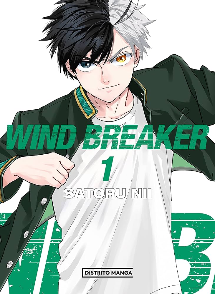 Wind Breaker 1: 9788419290878: Books - Amazon.ca