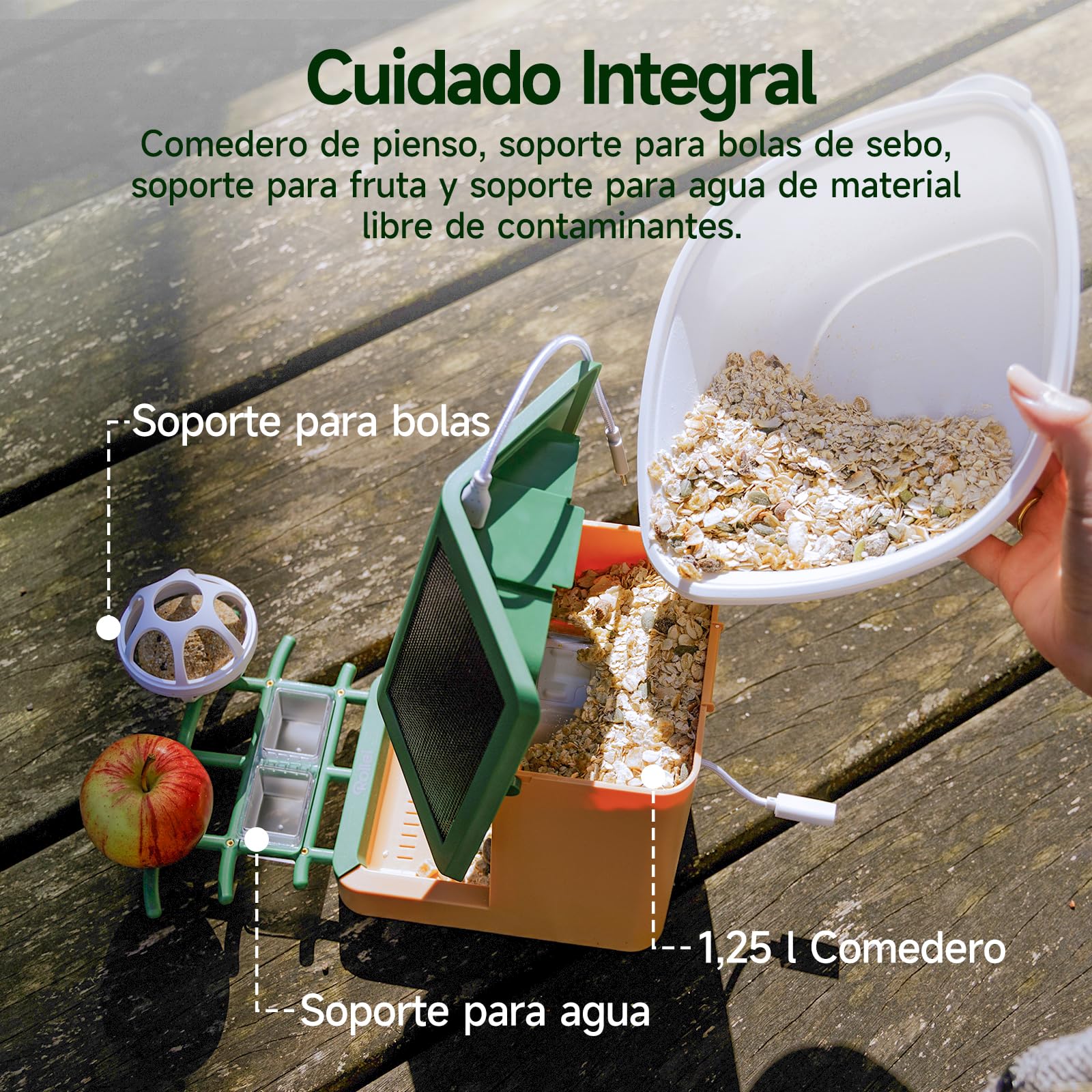 Comedero Inteligente Pájaros, Rollei Smart Bird Feeder 3K Comedero Pajaros | Solar con Cámara Exterior AI Reconocimiento de 10000 Pájaros Impermeable IP65 Visión Nocturna LED Audio Bidireccional