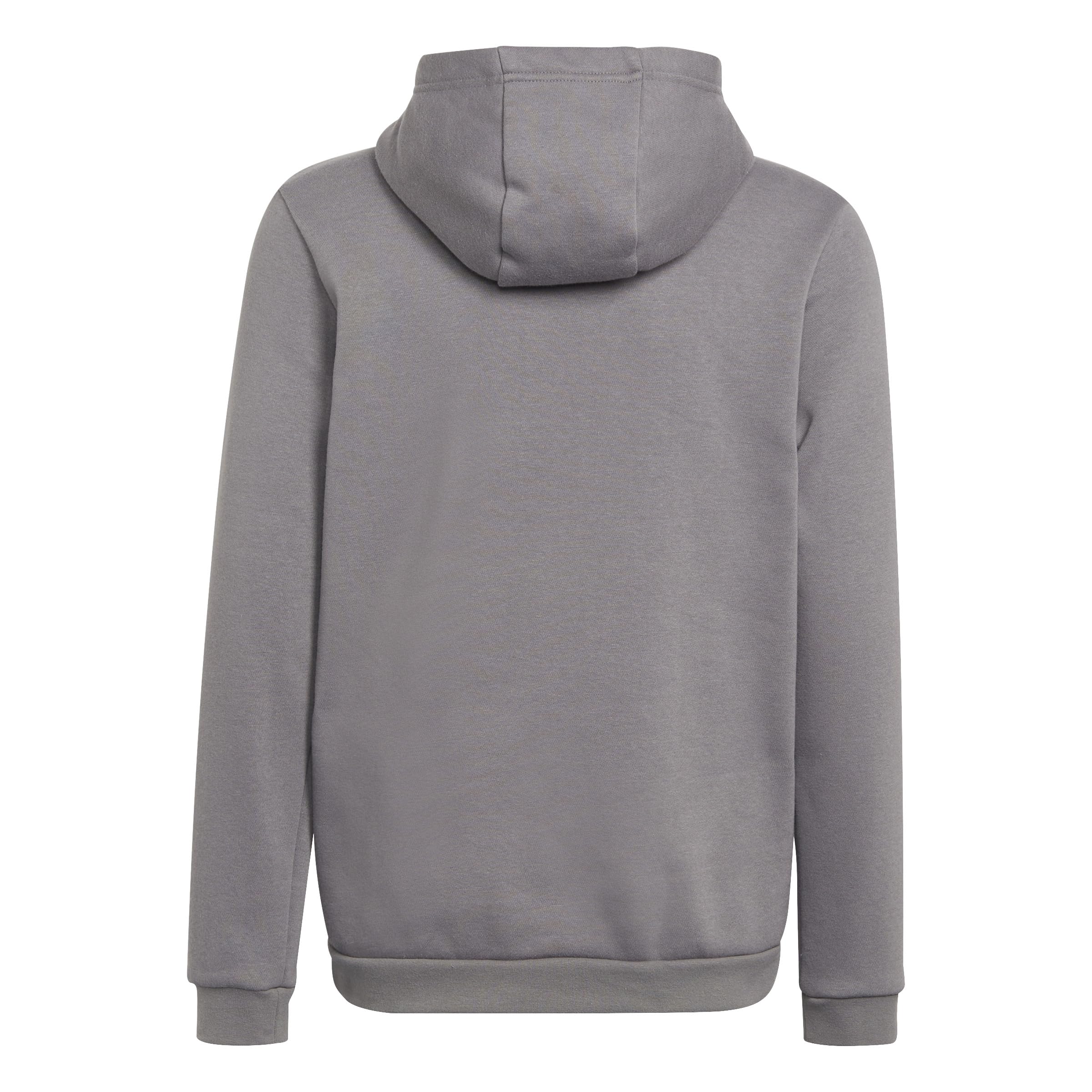 adidas Uniseks - dzieci Entrada 22 Sweat Hoodie, Team Grey Four, 11-12 Years
