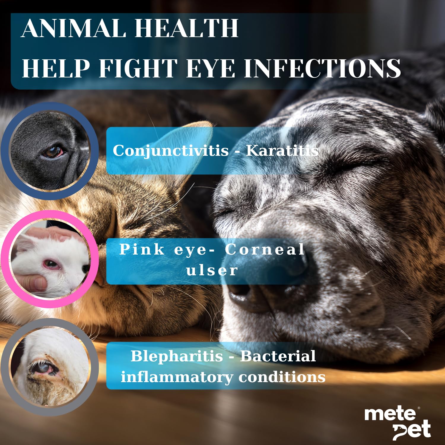 Vetromycin Plus Pet Eye Cream Health for Dogs, Cats, Cattle, Sheep, Horse, Bird 0.35 oz / 10 gr, 1 Tube — Amazon image 4