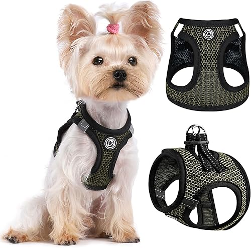 Step in - Arnés para perro pequeño (para perros de menos de 20 libras), arnés de malla de aire para perro, chaleco para cachorro y gato XXXS-L,