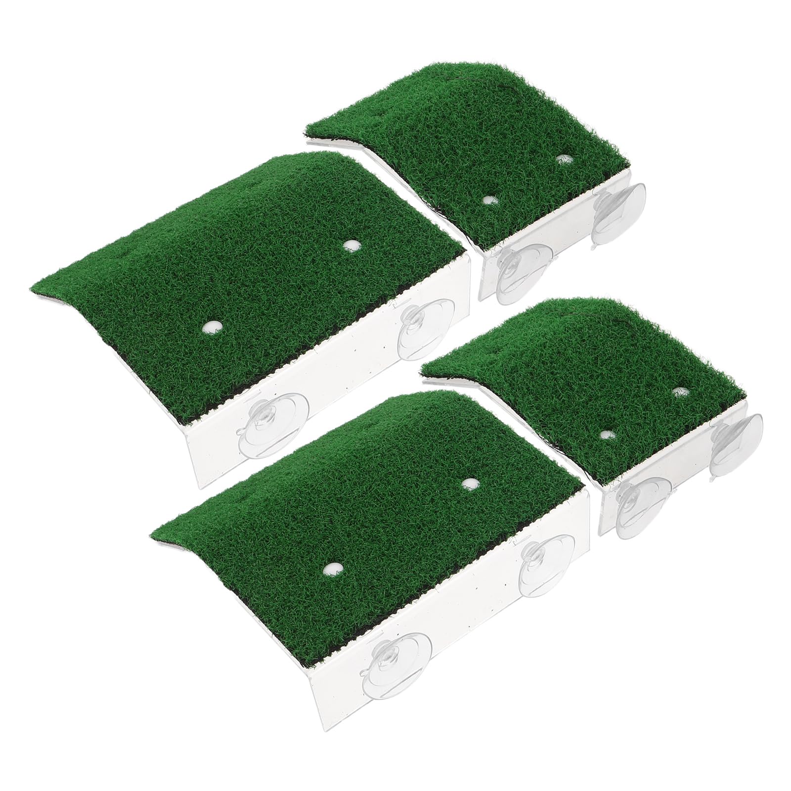 Rampe de piscine pour animaux antidérapante à ventouses pour jardin