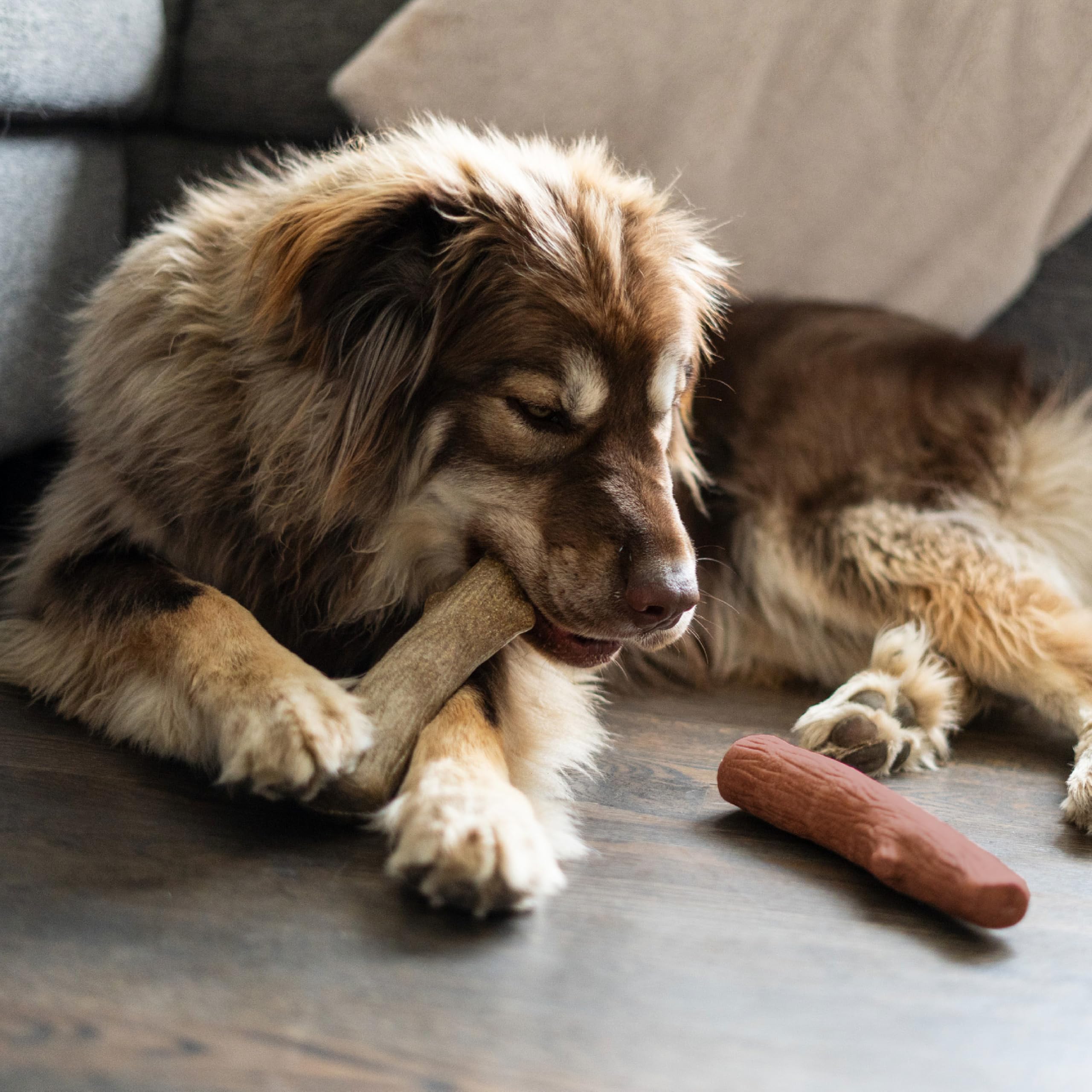 Petstages NewHide - Juguete Alternativo para Masticar para Perros, Grande