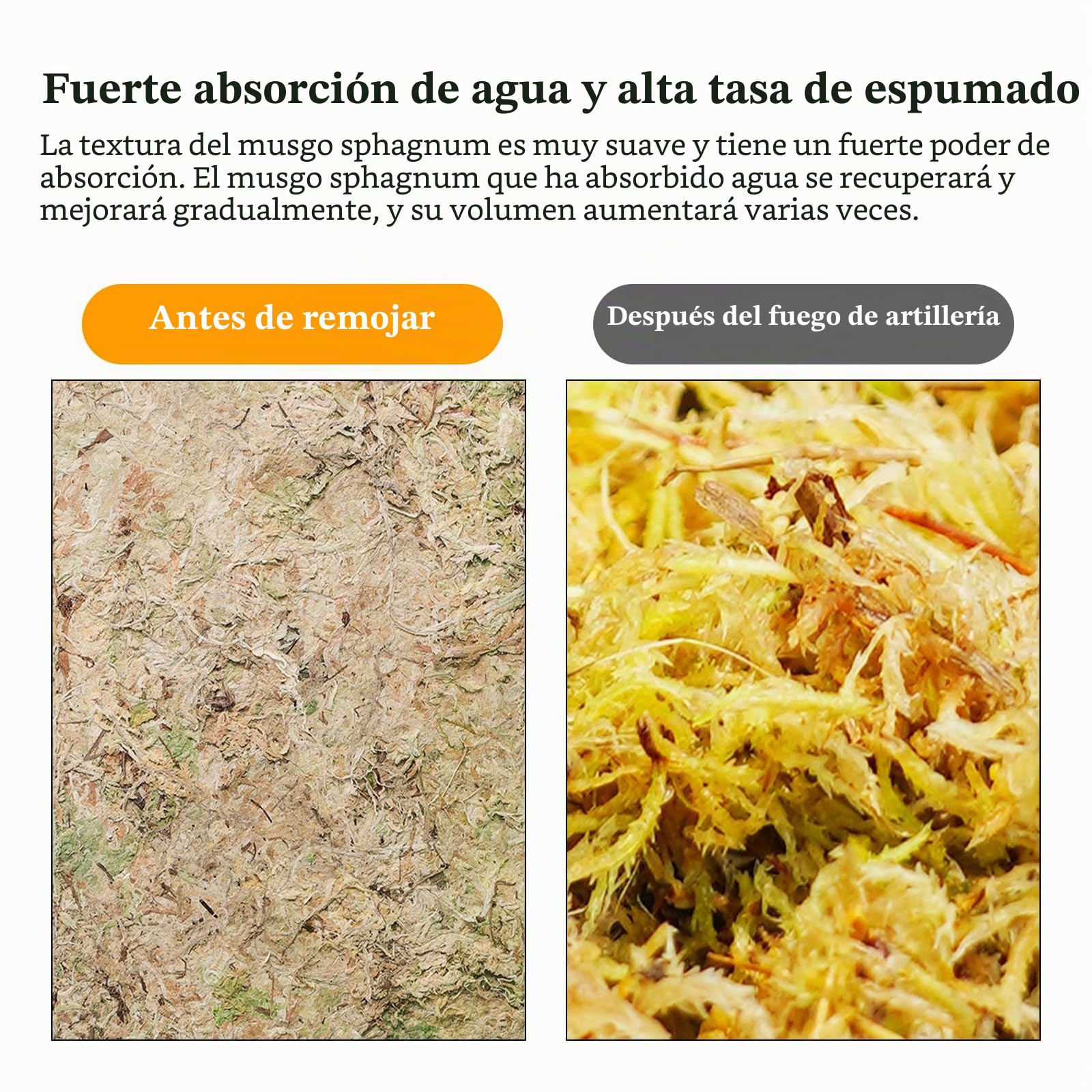 CATELL 190 g de musgo Sphagnum para plantas, terrario, tortuga y plantas de interior
