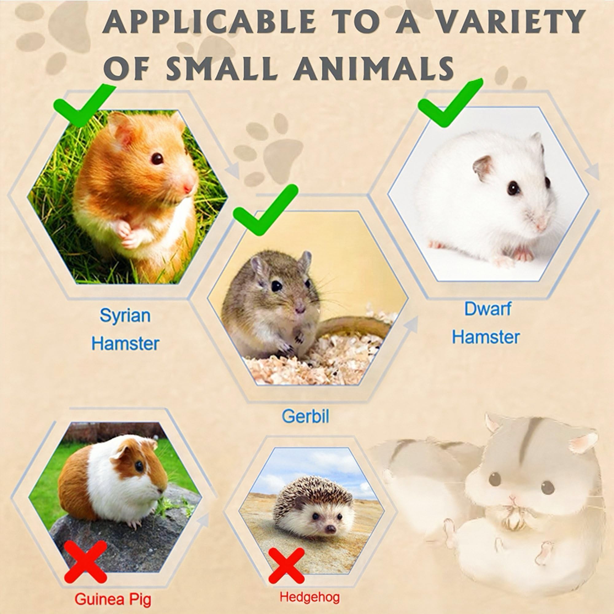 Jaula acrílica 8 en 1 para hámster con todos los accesorios, casa de hámster de 2 capas con visión totalmente transparente, jaula abierta para ratones de mascotas, hábitat de hámster para hámsters
