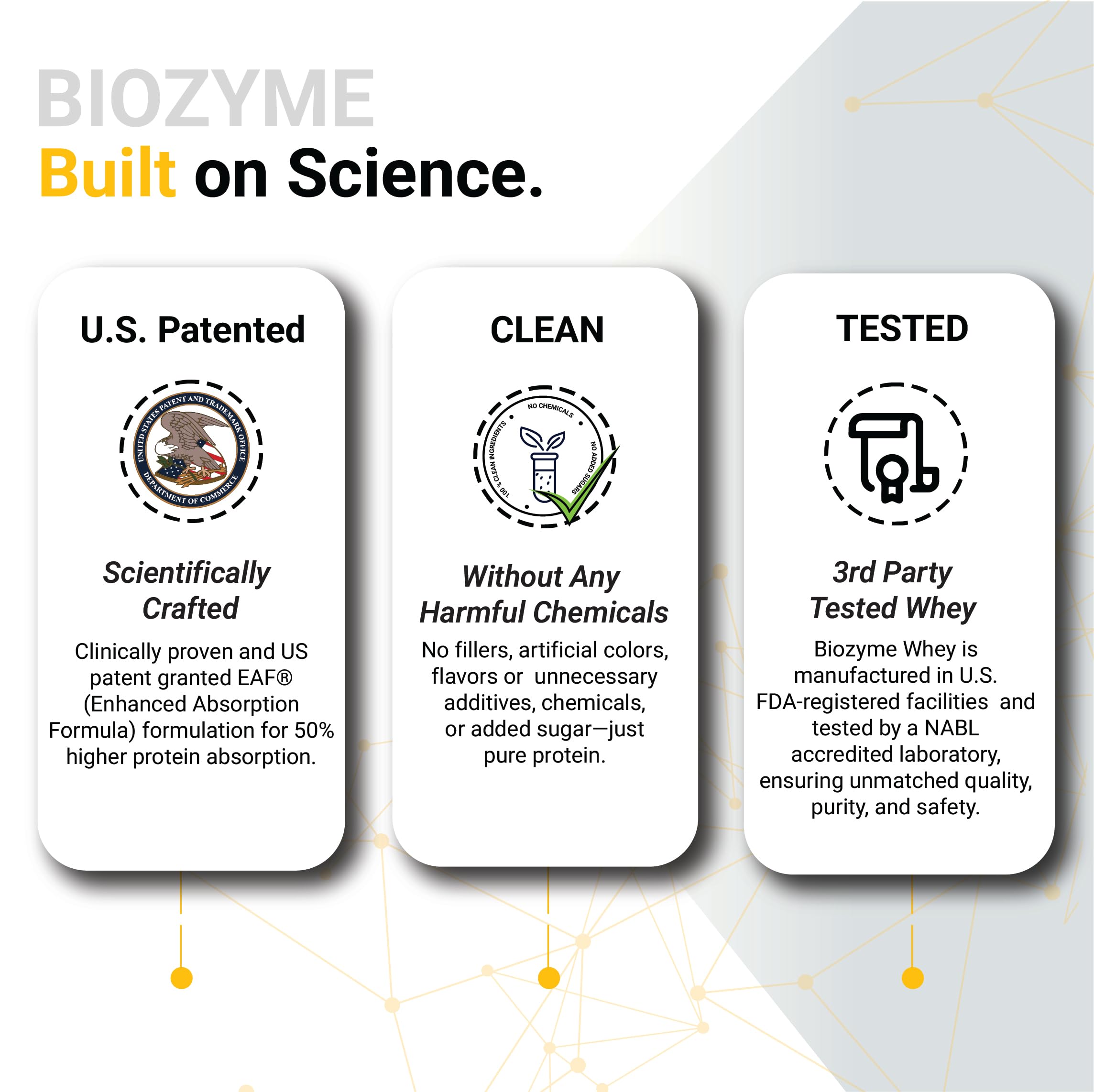 MuscleBlaze Biozyme Gold 100% Whey Protein Powder, 2kg (4.4lbs) — Amazon image 3