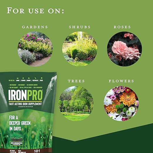 Earth Science IronPro Suplemento de Hierro para Césped - 5 lb miniatura 5