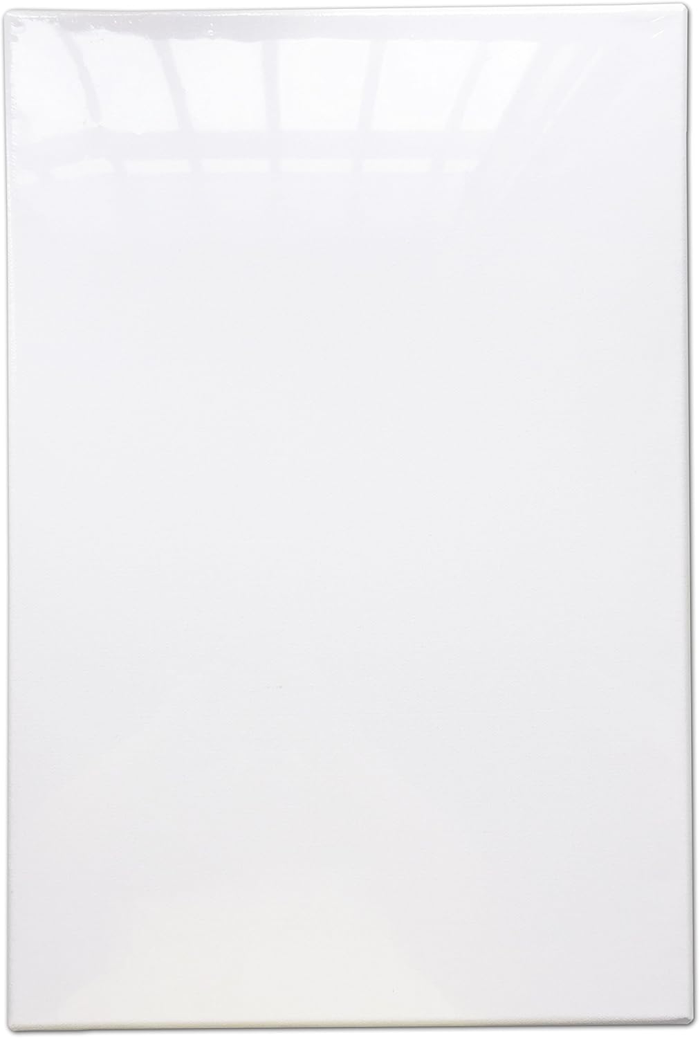 LWR CRAFTS Stretched Canvas 12" X 18" Pack of 4