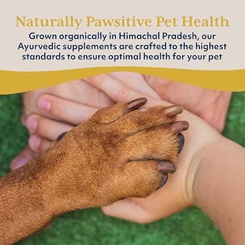 Ayush Pet Ashwagandha Drops for Dogs & Cats - Organic Liquid Ashwagandha Root Extract for Calm and Whole-Body Wellness, Adaptogenic Wellness Supplement for Pets, 100mg per Dropper - 2 fl oz