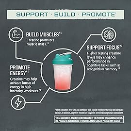 Creatine Monohydrate Powder Micronized PreWorkout Recovery Supplement | Support Muscle Building Strength Training Cognition | Vegan & Keto Friendly Easily Mixes Pop Box 30 Servings, Unflavored 5g each