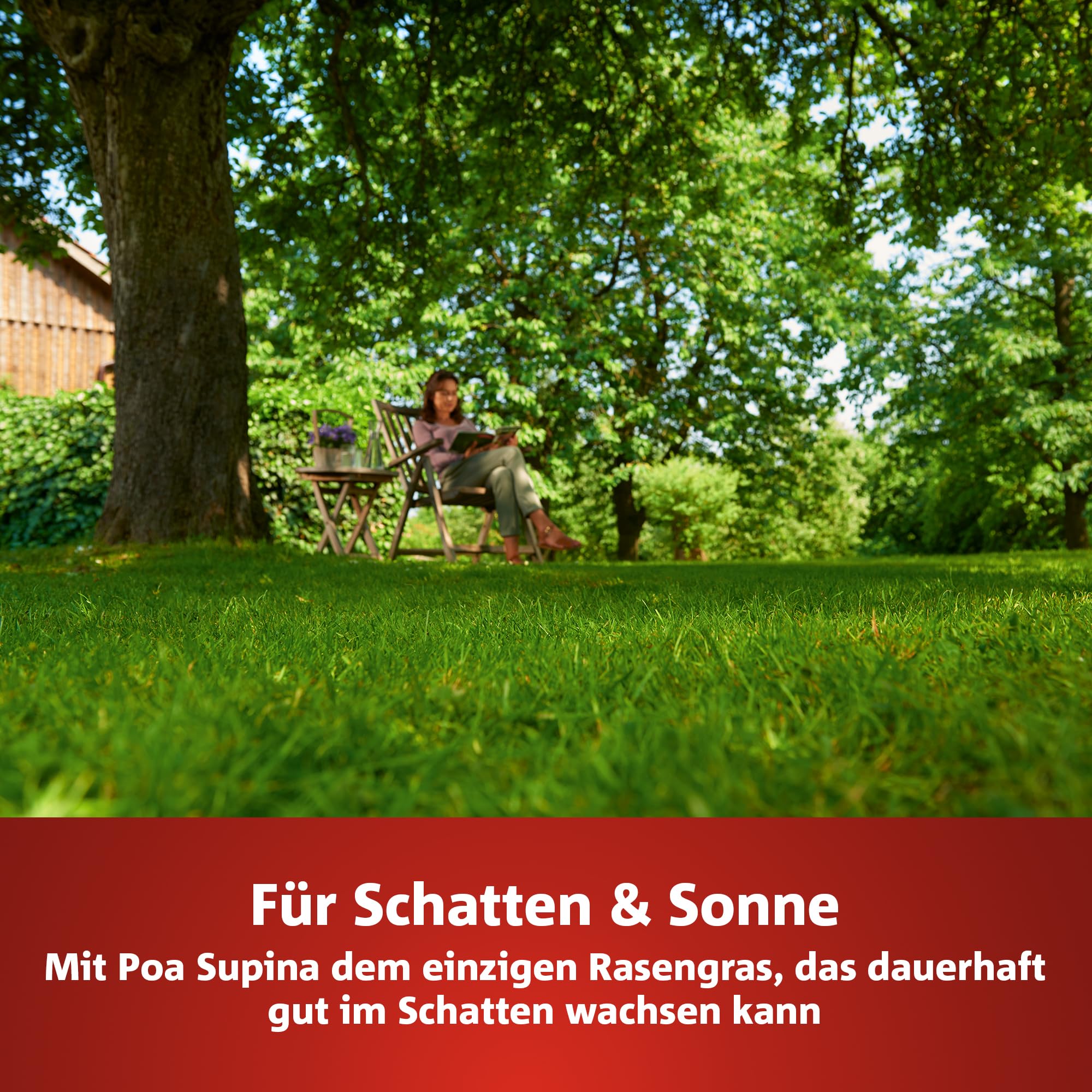 WOLF-Garten „Schatten & Sonne“ Premium-Rasen LP 50 (für 50 m², sehr hohe Dichte mit ca. 100.000 Trieben/m2, besonders strapazierfähig, hohe Schattenverträglichkeit, 1kg Faltschachtel) 3820031