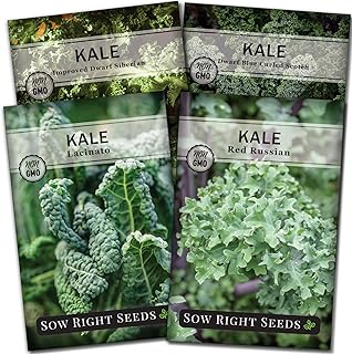 Sow Right Seeds - Kale Seed Collection for Planting - Non-GMO Heirloom Packet with Instructions to Plant and Grow a Home V...